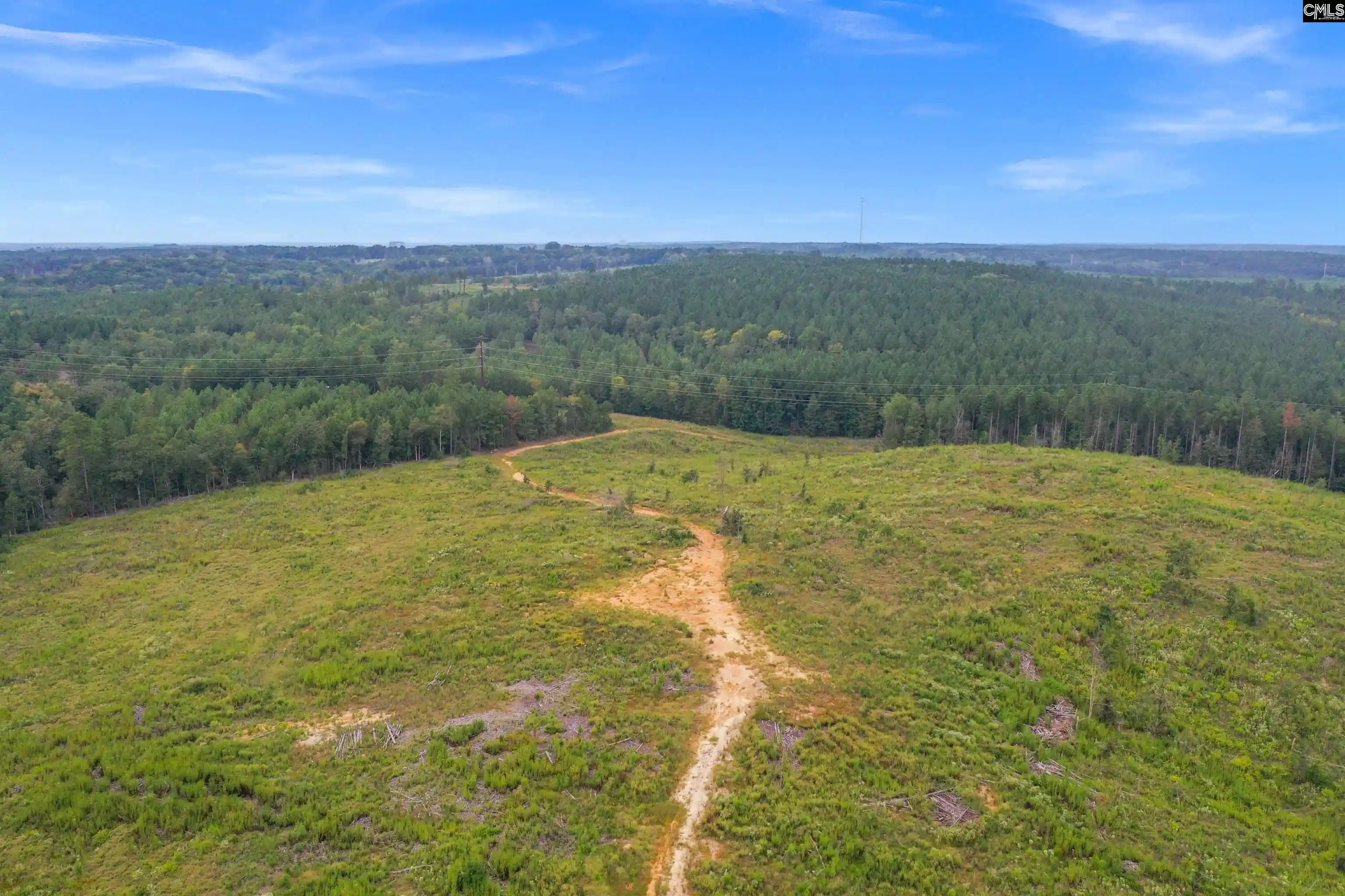 Homes for sale in Jenkinsville, SC | 0000 Penner Rd #10, Jenkinsville, SC 29065 | MLS# 636331