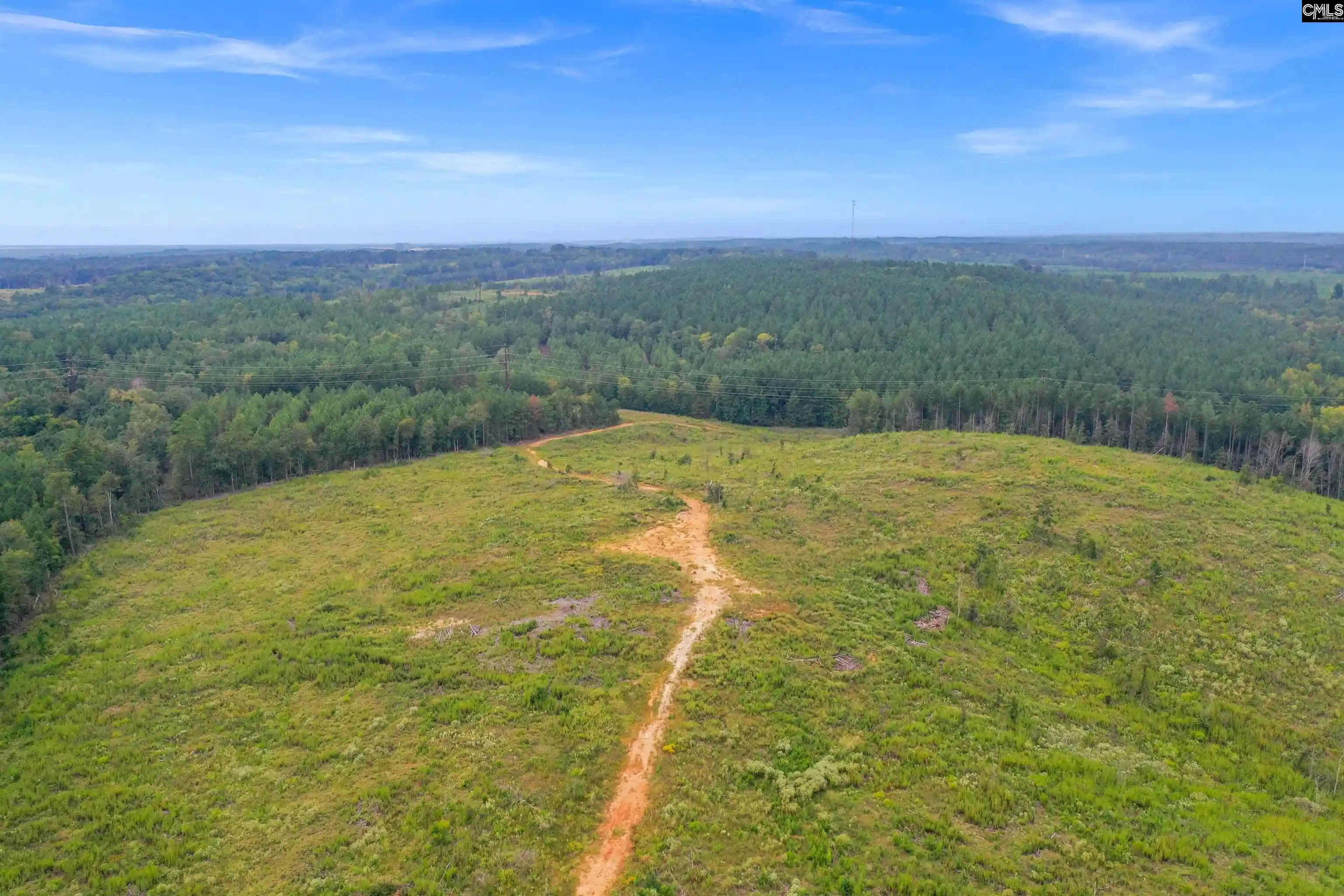 Homes for sale in Jenkinsville, SC | 0000 Penner Rd #10, Jenkinsville, SC 29065 | MLS# 636331