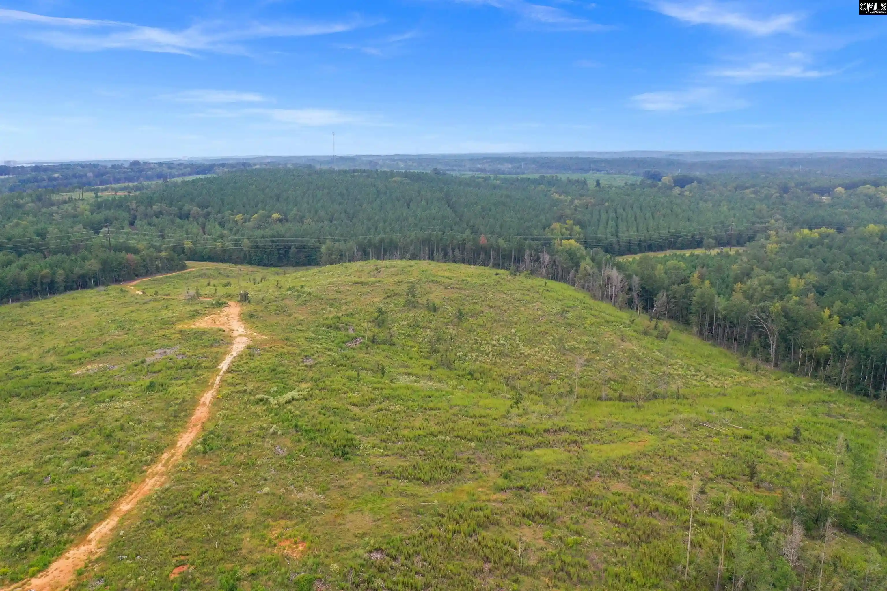 Homes for sale in Jenkinsville, SC | 0000 Penner Rd #10, Jenkinsville, SC 29065 | MLS# 636331