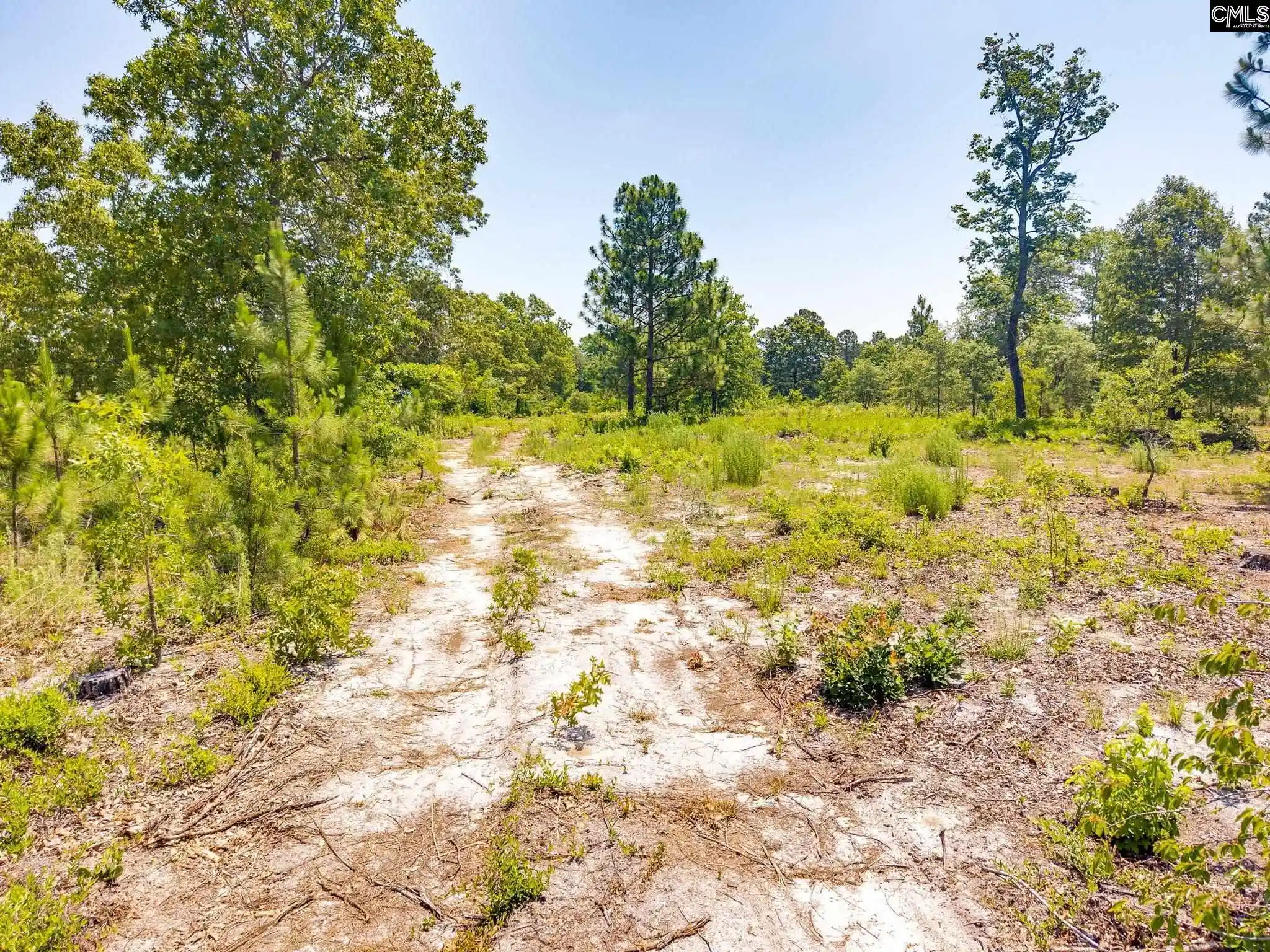2nd image of 443 Hound Hollow, Camden, SC 29020 | MLS# 636374