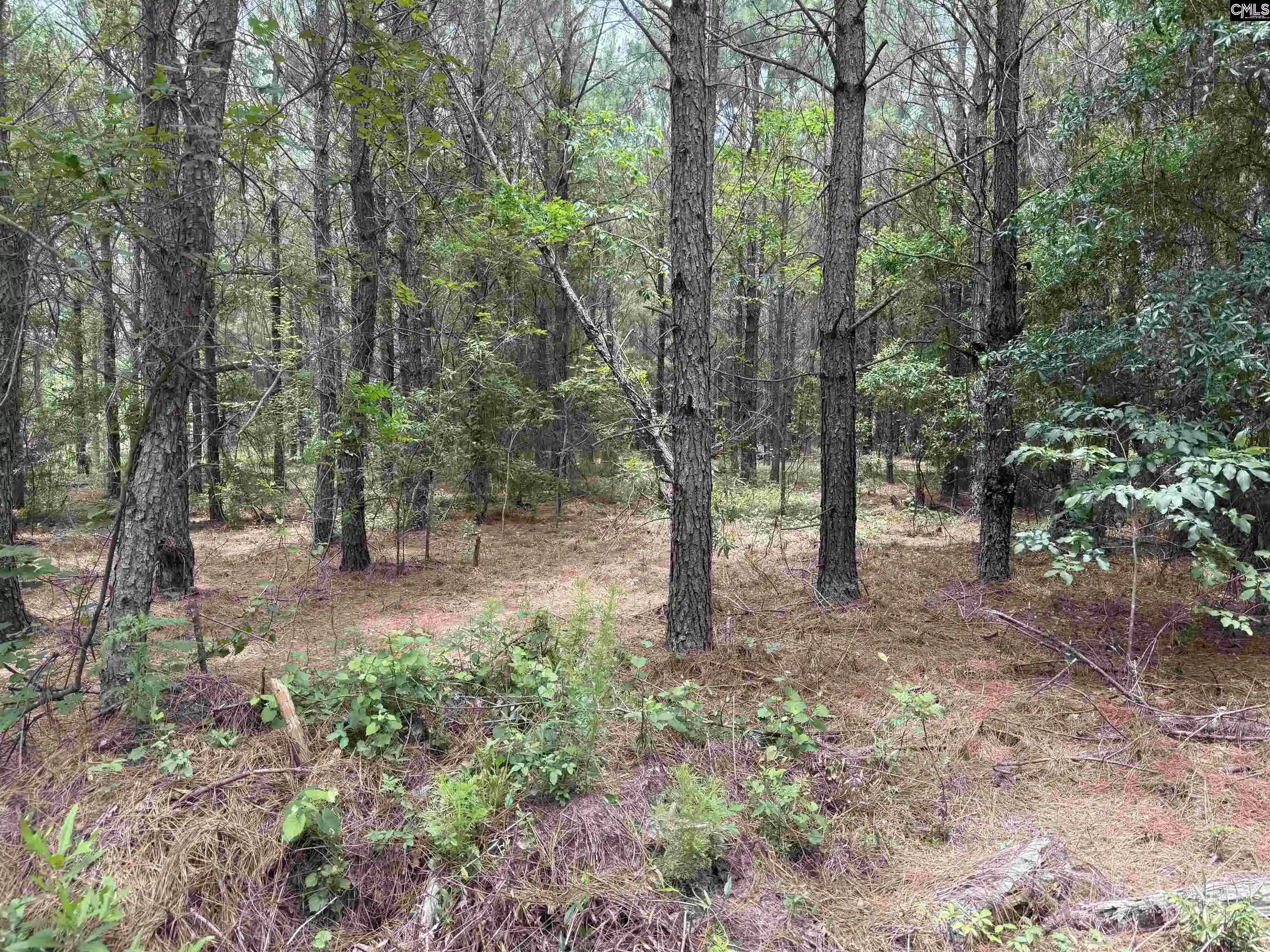Homes for sale in Wagener, SC | 00 Seivern, Wagener, SC 29164 | MLS# 636711