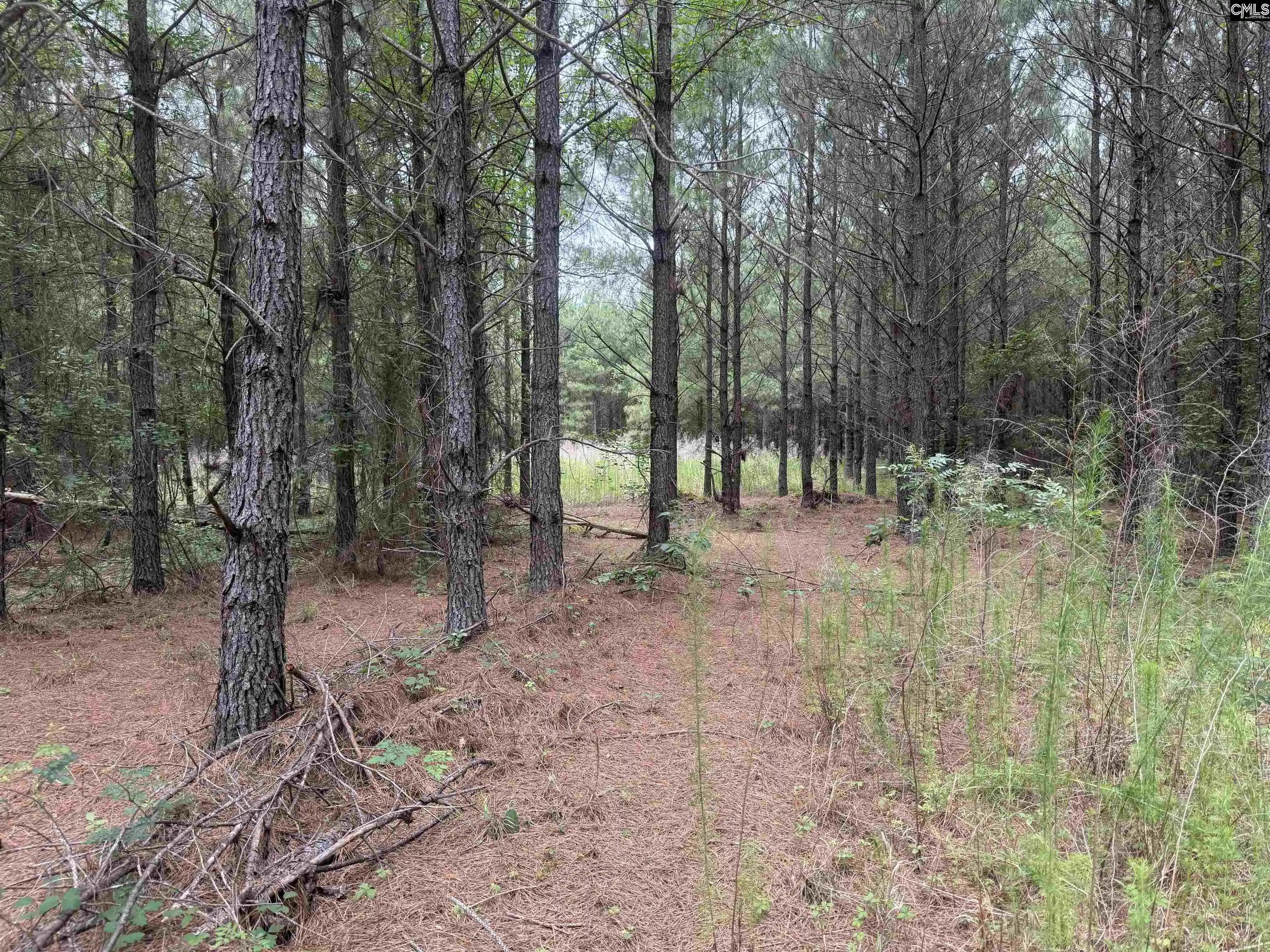 Homes for sale in Wagener, SC | 00 Seivern, Wagener, SC 29164 | MLS# 636711
