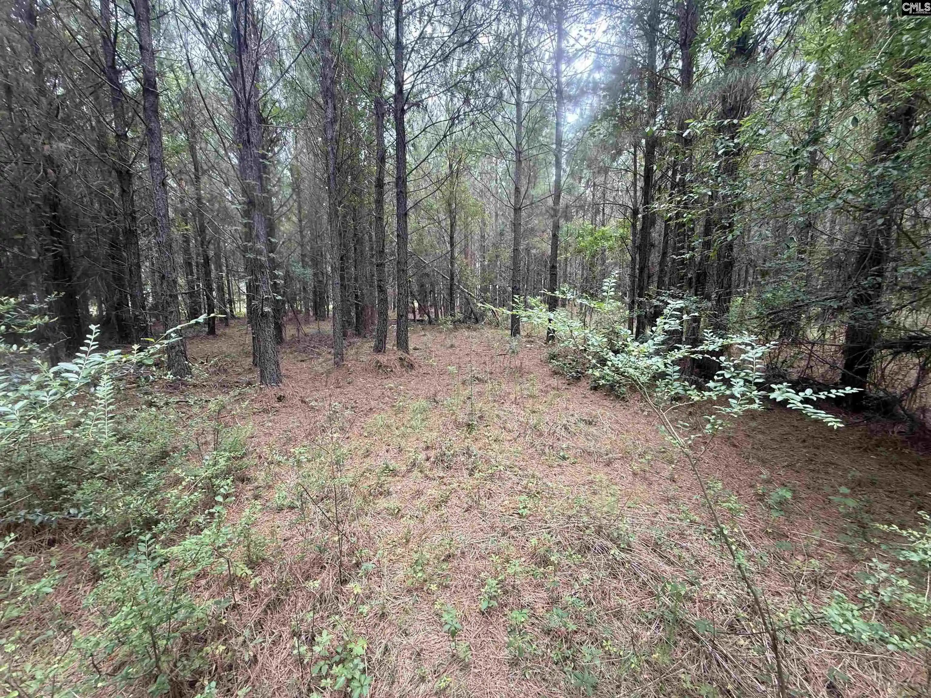 Homes for sale in Wagener, SC | 00 Seivern, Wagener, SC 29164 | MLS# 636711