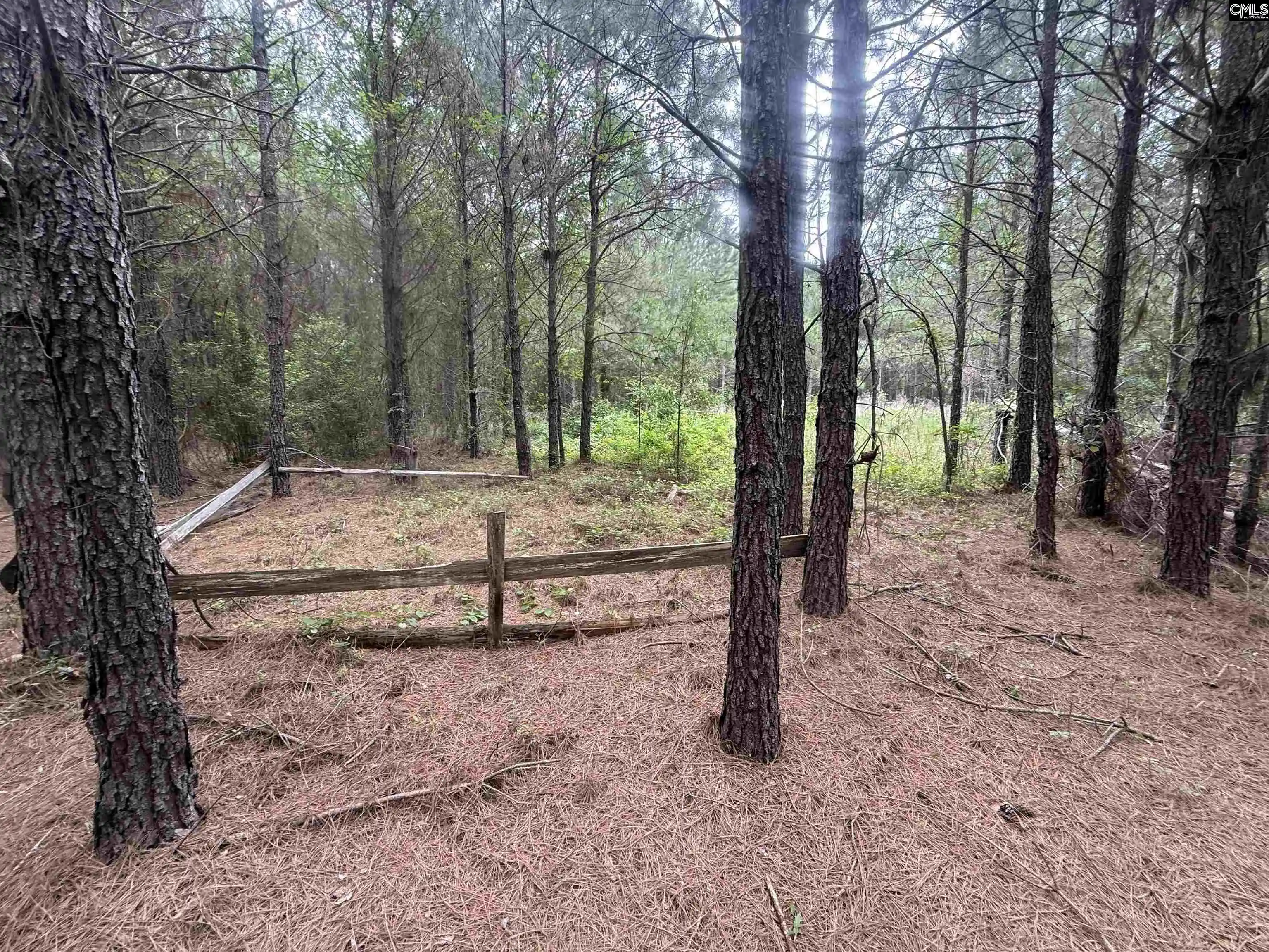 Homes for sale in Wagener, SC | 00 Seivern, Wagener, SC 29164 | MLS# 636711
