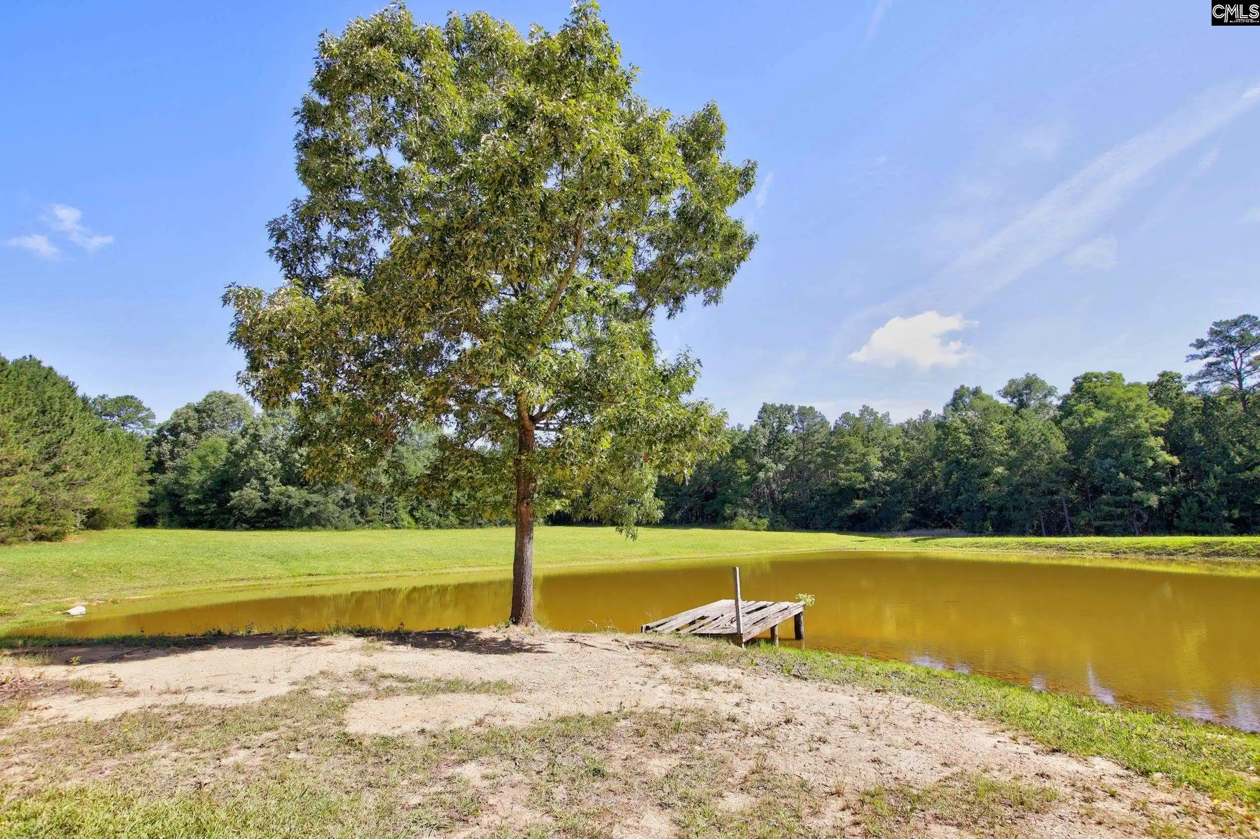 Photo 5 of Land for sale at 3140 Hwy 702, Chappells, SC 29037 | MLS# 636748 | Listing updated on 2026-08-20