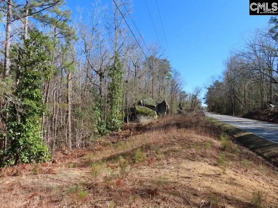 Homes for sale in Winnsboro, SC | 0 Rion, Winnsboro, SC 29180 | MLS# 636820