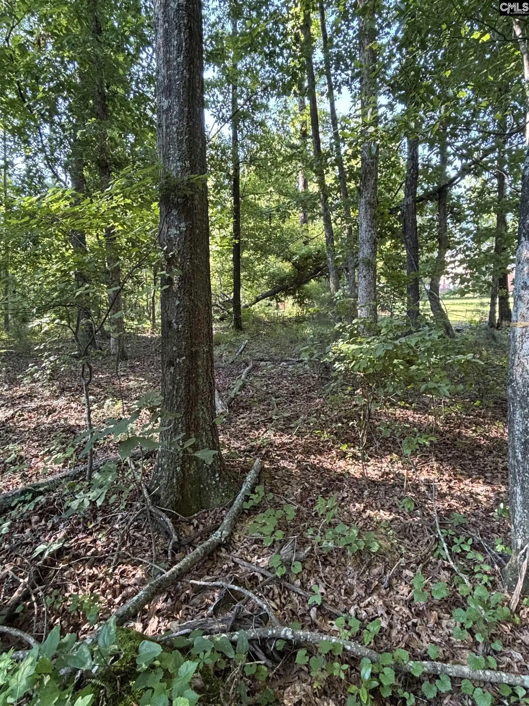 Homes for sale in Blythewood, SC | 320 Oakhurst, Blythewood, SC 29016 | MLS# 636965