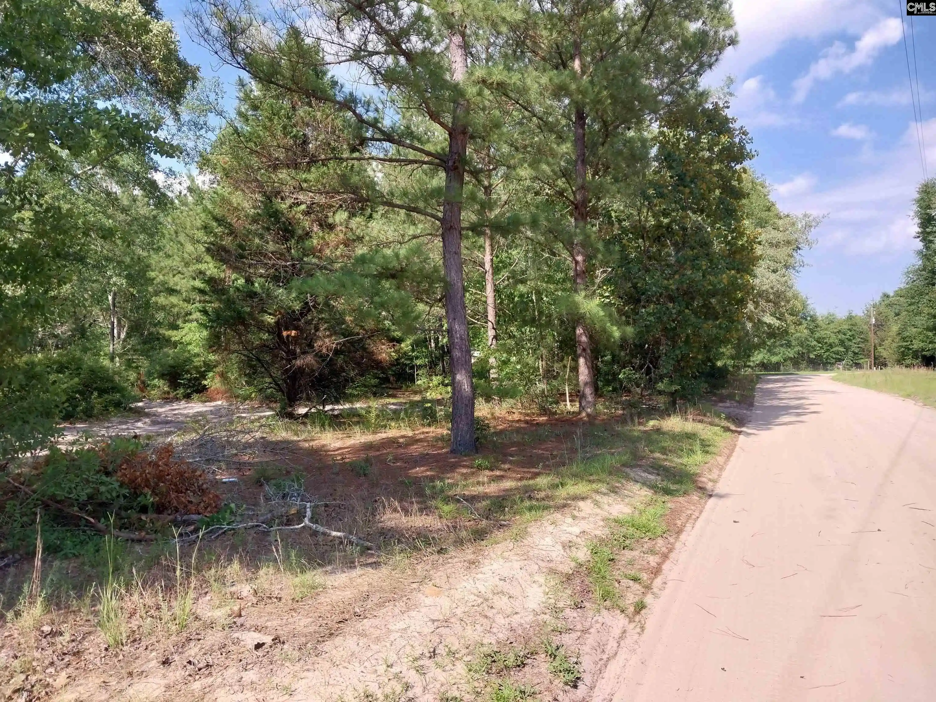 Homes for sale in Pelion, SC | 143 Tom Lucas, Pelion, SC 29123 | MLS# 637004