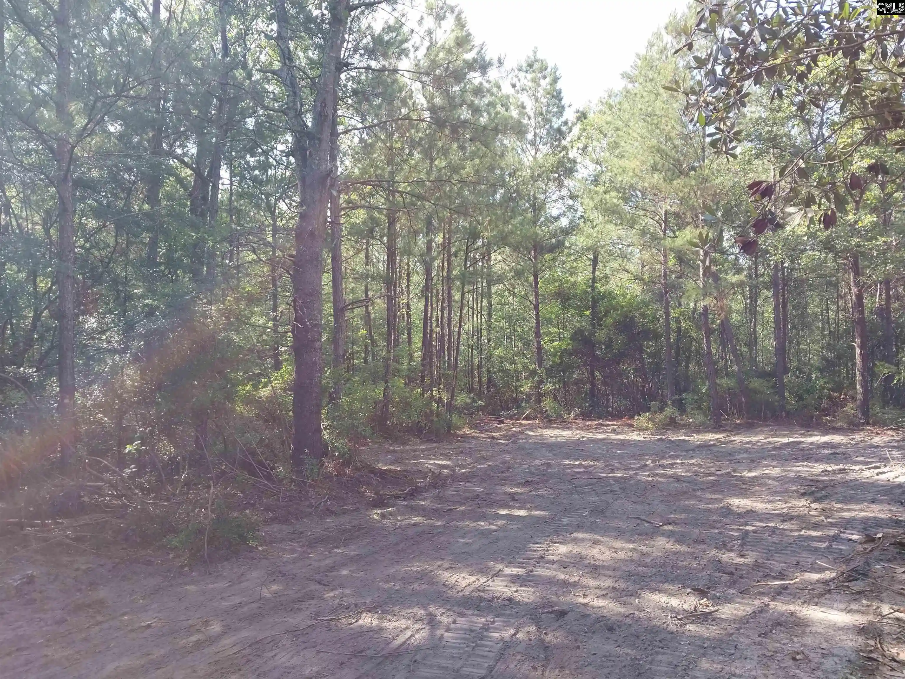 Homes for sale in Pelion, SC | 143 Tom Lucas, Pelion, SC 29123 | MLS# 637004
