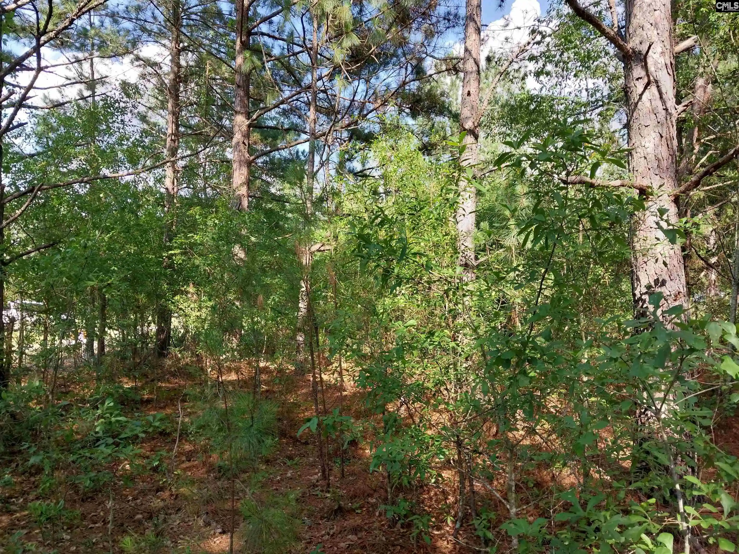 Homes for sale in Pelion, SC | 143 Tom Lucas, Pelion, SC 29123 | MLS# 637004