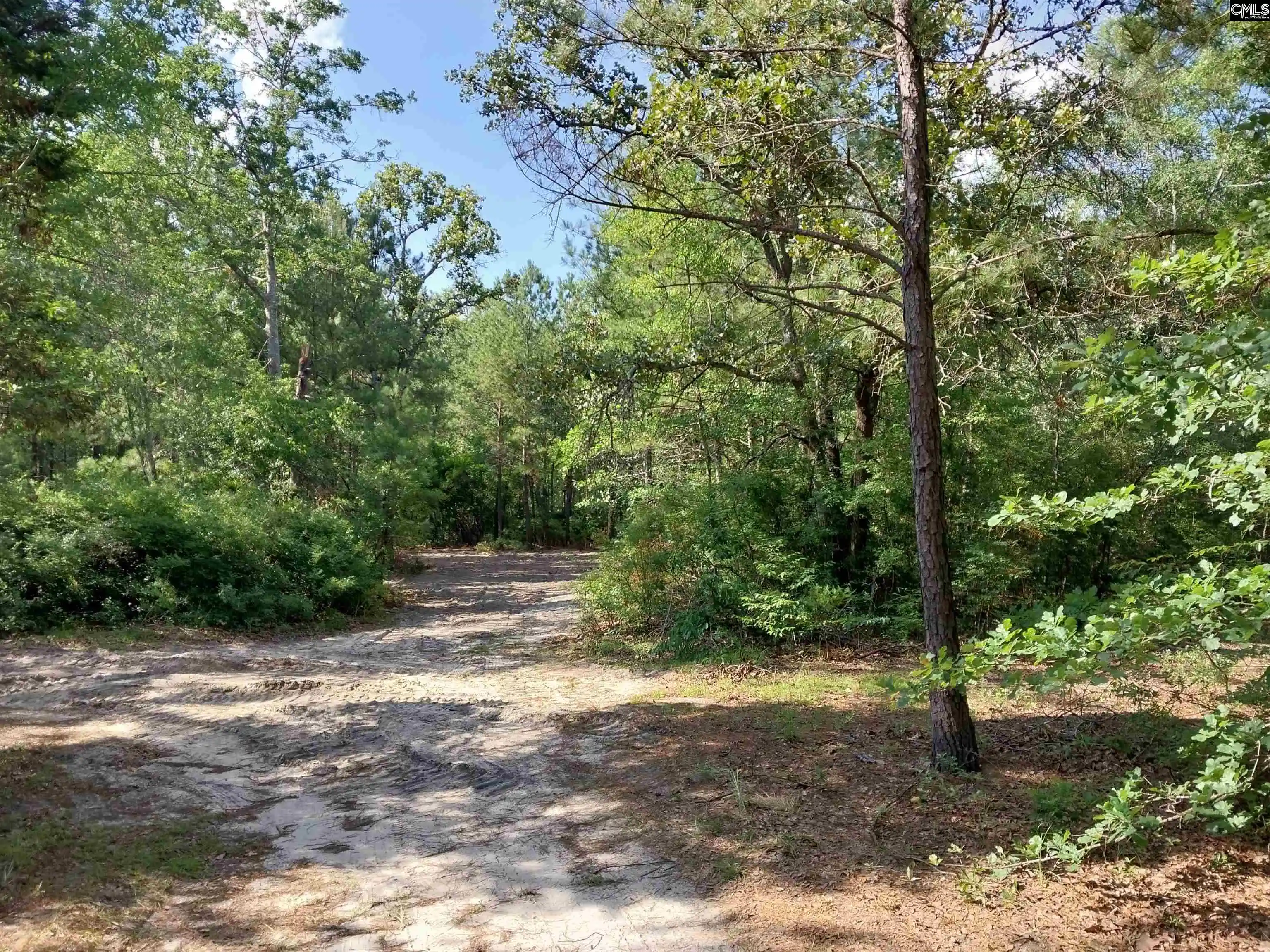 Homes for sale in Pelion, SC | 143 Tom Lucas, Pelion, SC 29123 | MLS# 637004