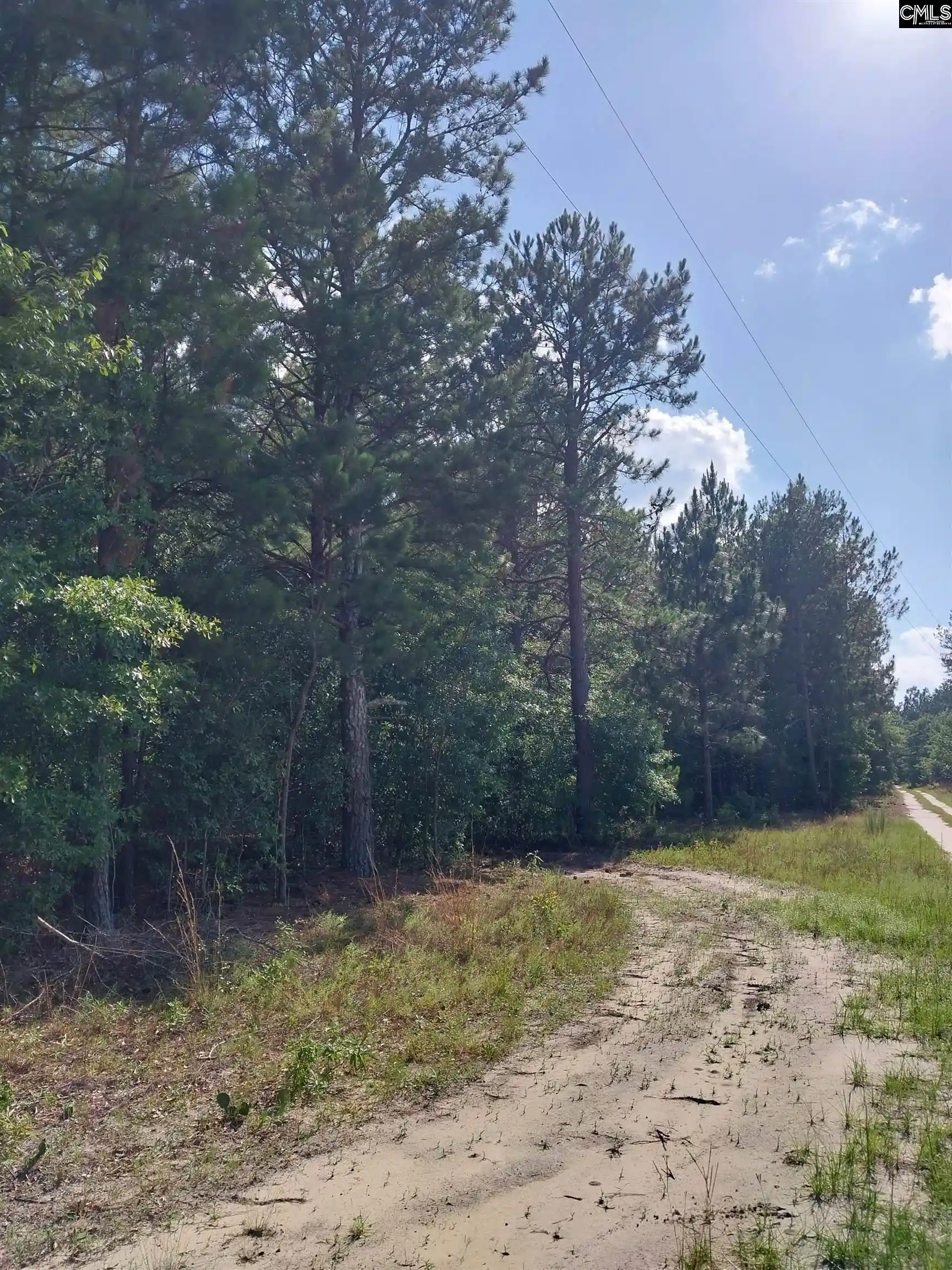 Homes for sale in Pelion, SC | 408 Sells, Pelion, SC 29123 | MLS# 637005