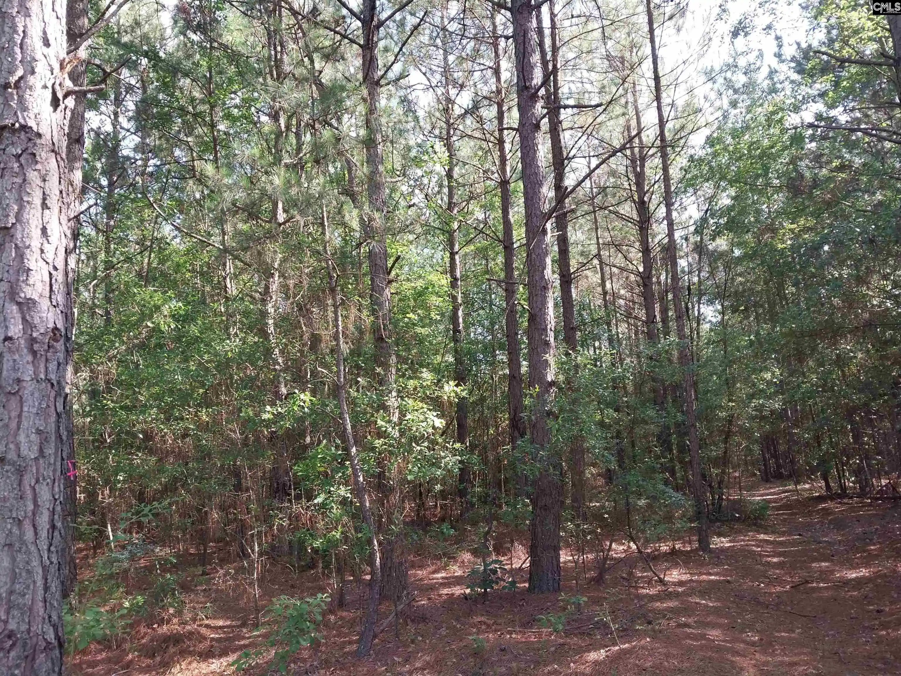 Homes for sale in Pelion, SC | 408 Sells, Pelion, SC 29123 | MLS# 637005