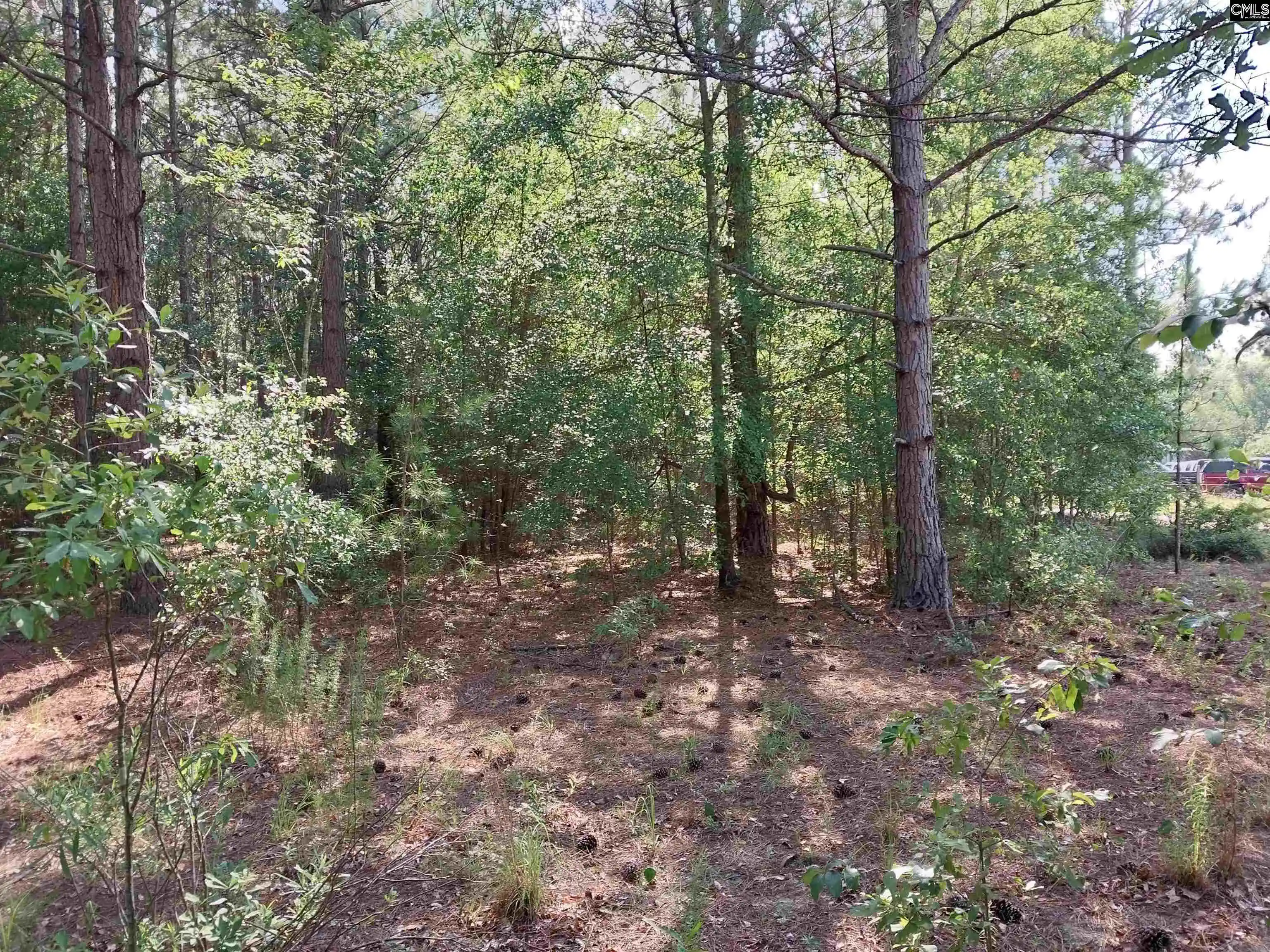 Homes for sale in Pelion, SC | 408 Sells, Pelion, SC 29123 | MLS# 637005