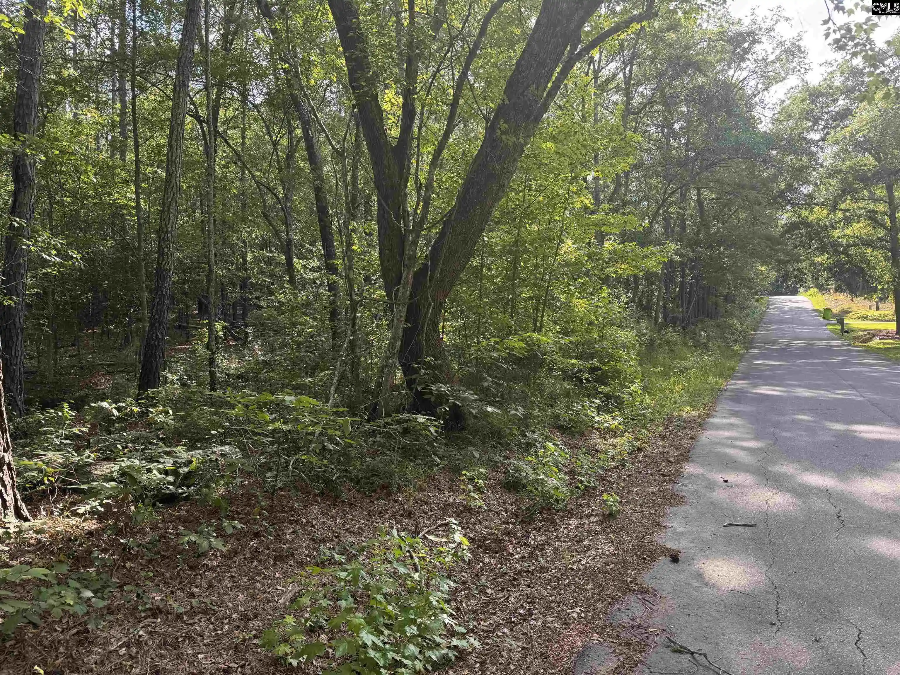 Photo 3 of Sale Pending at 209 Ted, Columbia, SC 29203 | MLS# 637011 | Listing updated on 2026-09-06