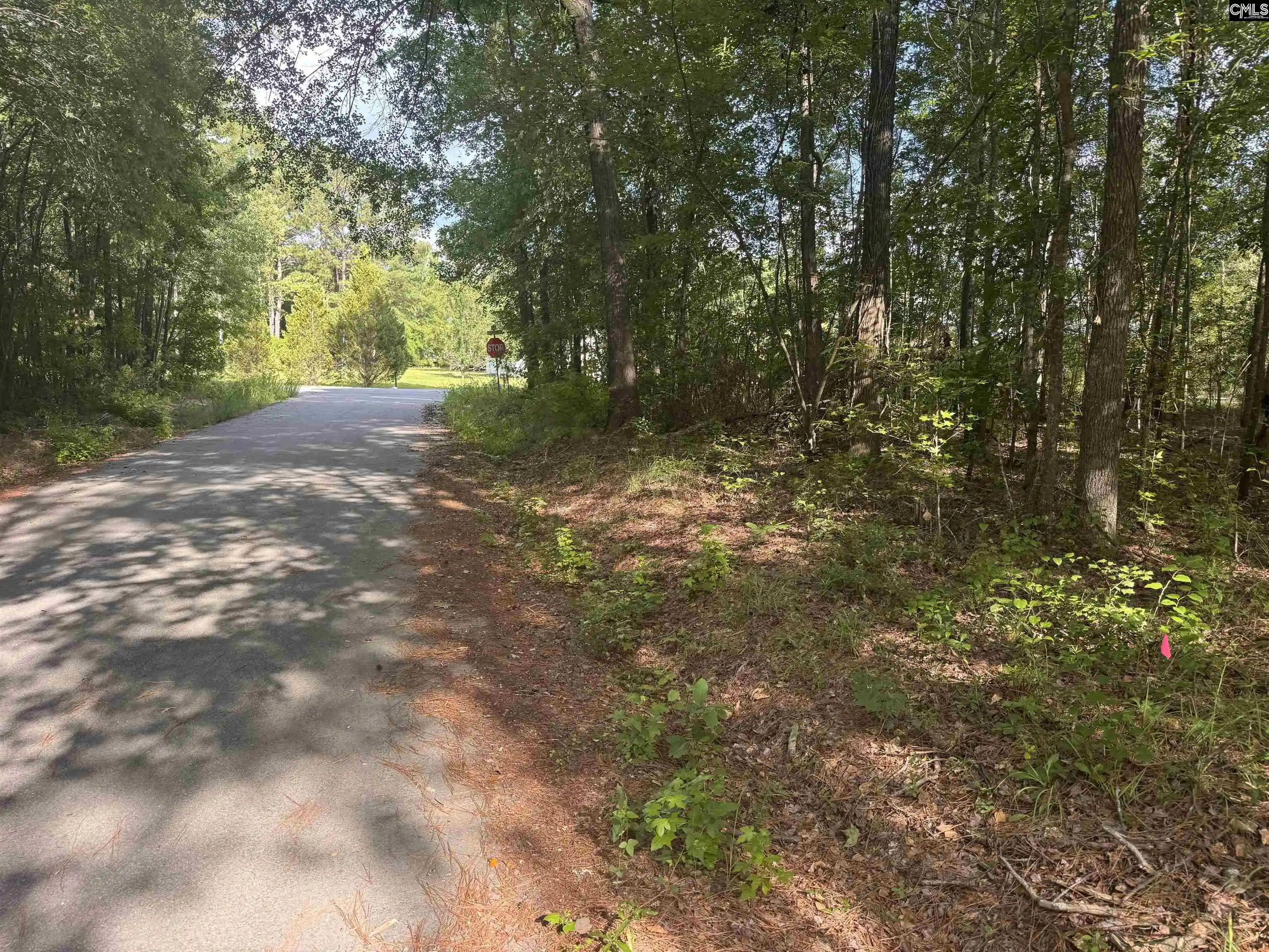 Photo 4 of Sale Pending at 209 Ted, Columbia, SC 29203 | MLS# 637011 | Listing updated on 2026-09-06