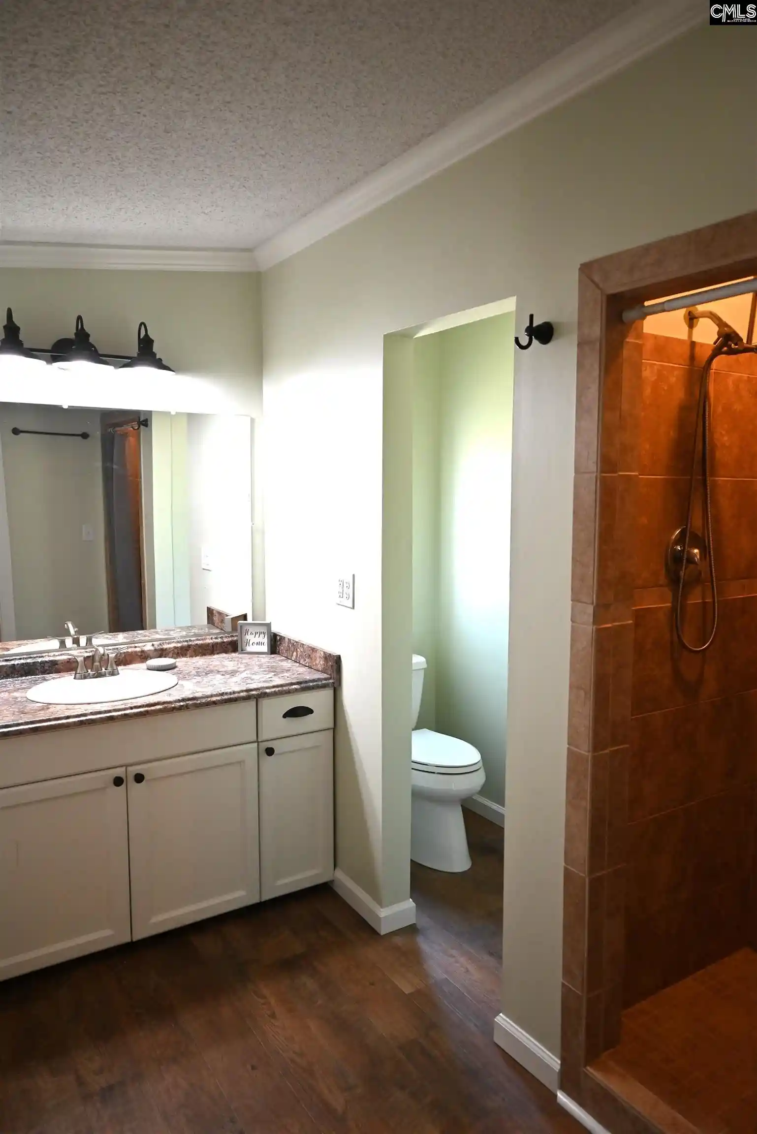 Photo 4 of Single family home for sale at 209 Ann, Pelion, SC 29123 | MLS# 637012 | Listing updated on 2026-08-06
