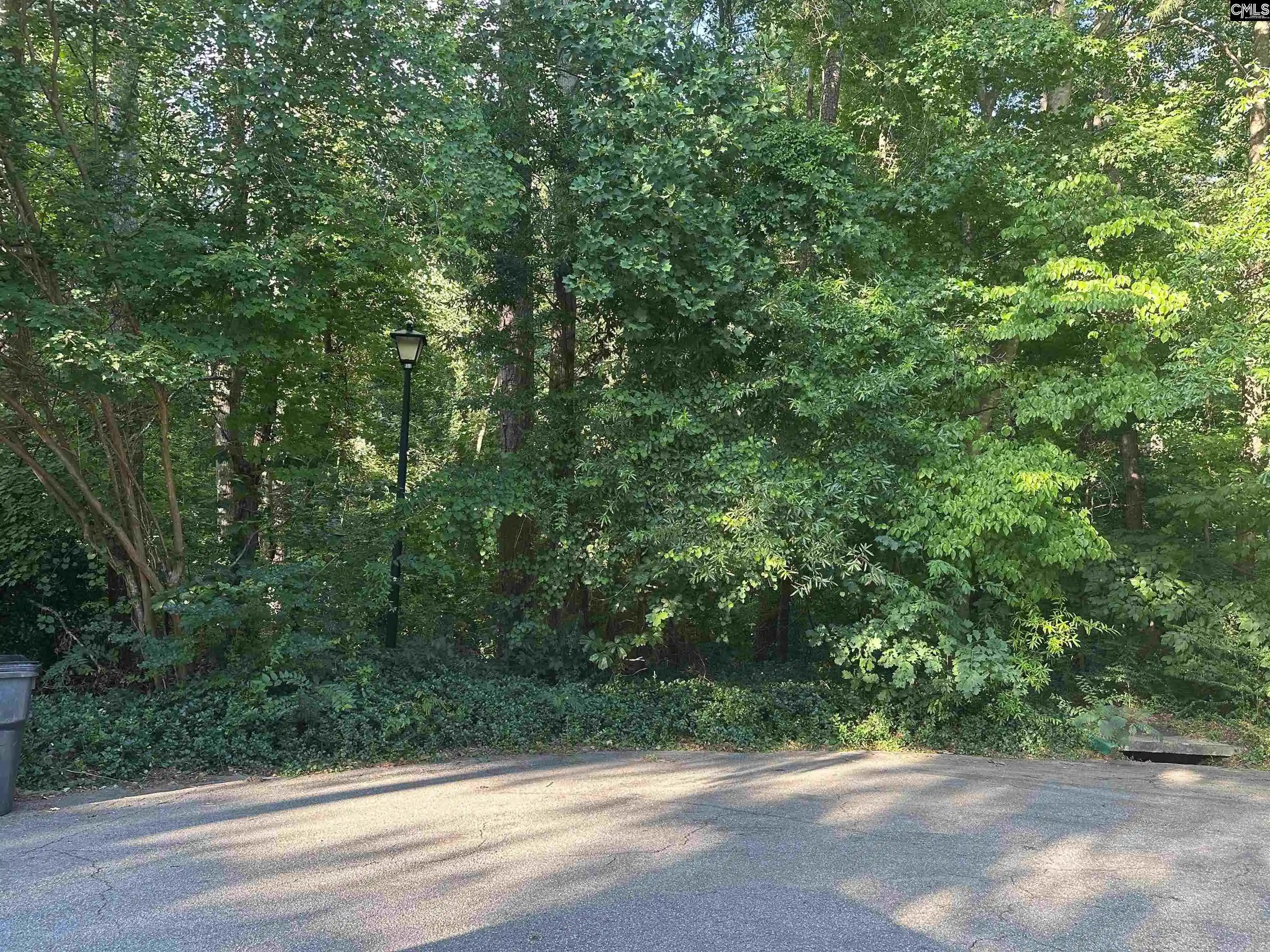 Photo 2 of Land for sale at 521 Winding, Columbia, SC 29212 | MLS# 637090 | Listing updated on 2026-08-06