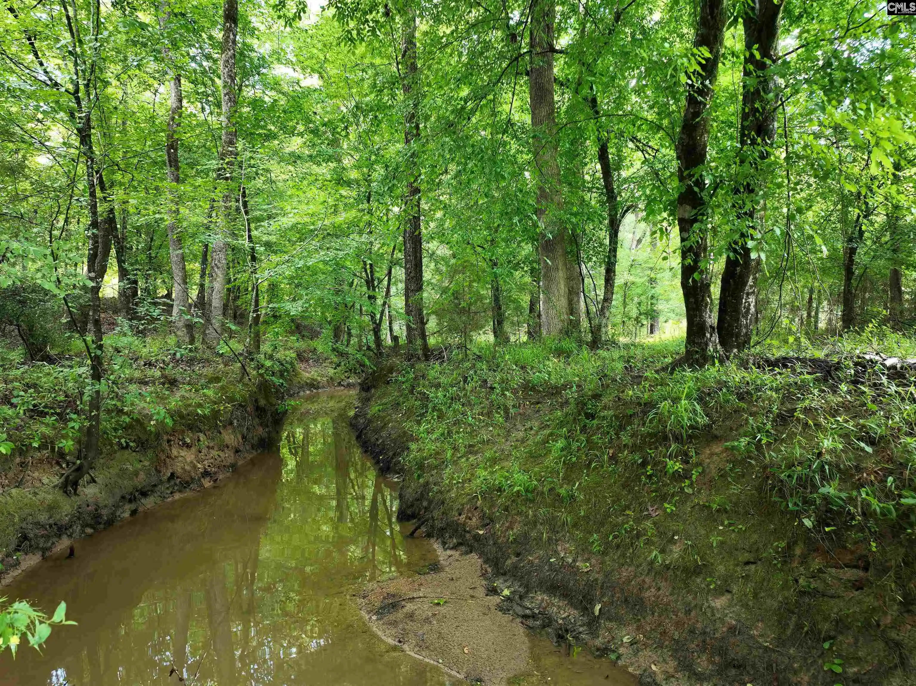 Photo 2 of Land for sale at 0 Rocky Branch, Chapin, SC 29036 | MLS# 637116 | Listing updated on 2026-09-04