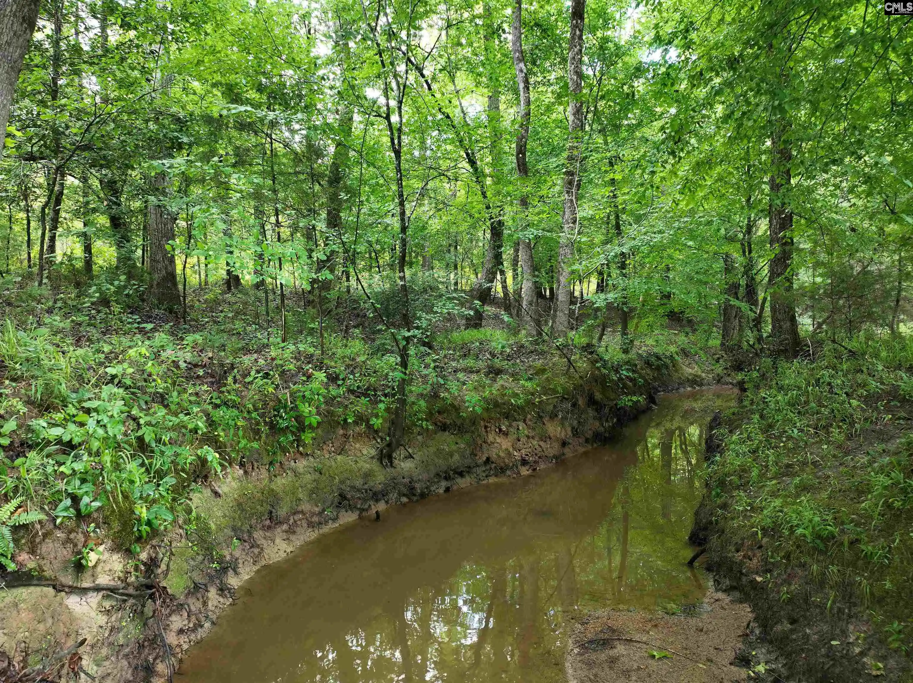 Photo 3 of Land for sale at 0 Rocky Branch, Chapin, SC 29036 | MLS# 637116 | Listing updated on 2026-09-04