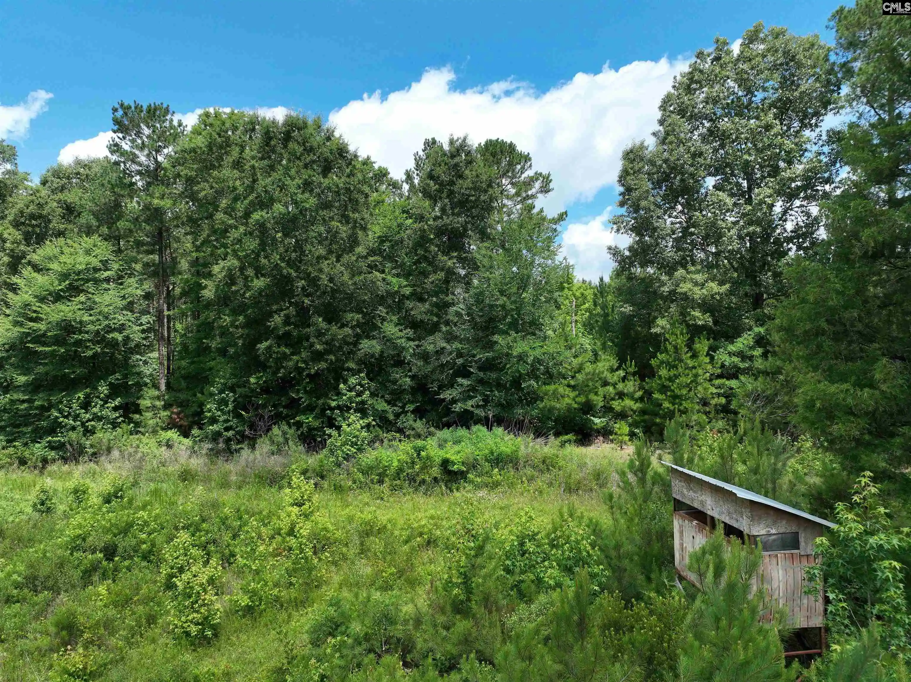 Photo 4 of Land for sale at 0 Rocky Branch, Chapin, SC 29036 | MLS# 637116 | Listing updated on 2026-09-04