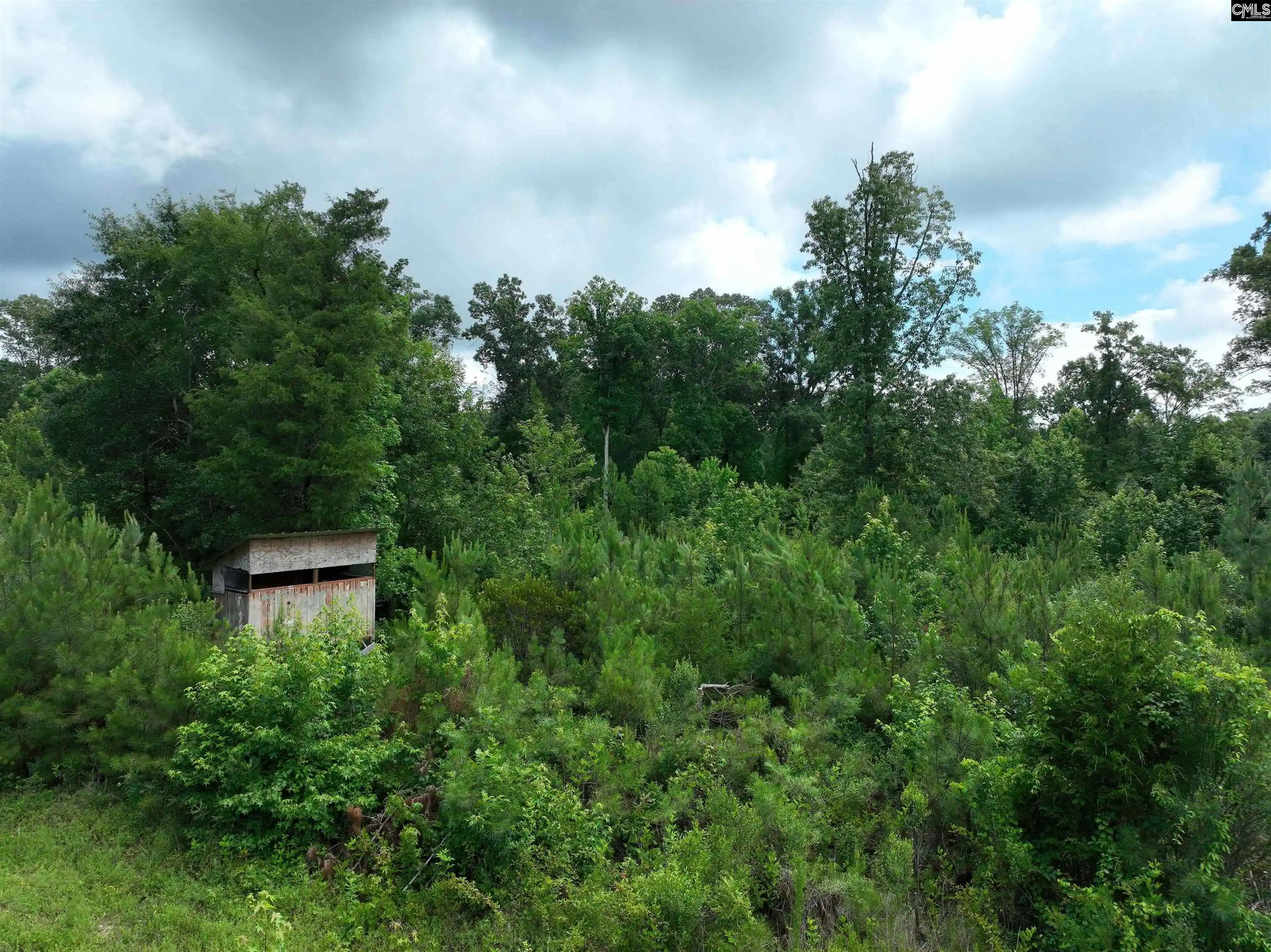 Photo 5 of Land for sale at 0 Rocky Branch, Chapin, SC 29036 | MLS# 637116 | Listing updated on 2026-09-04