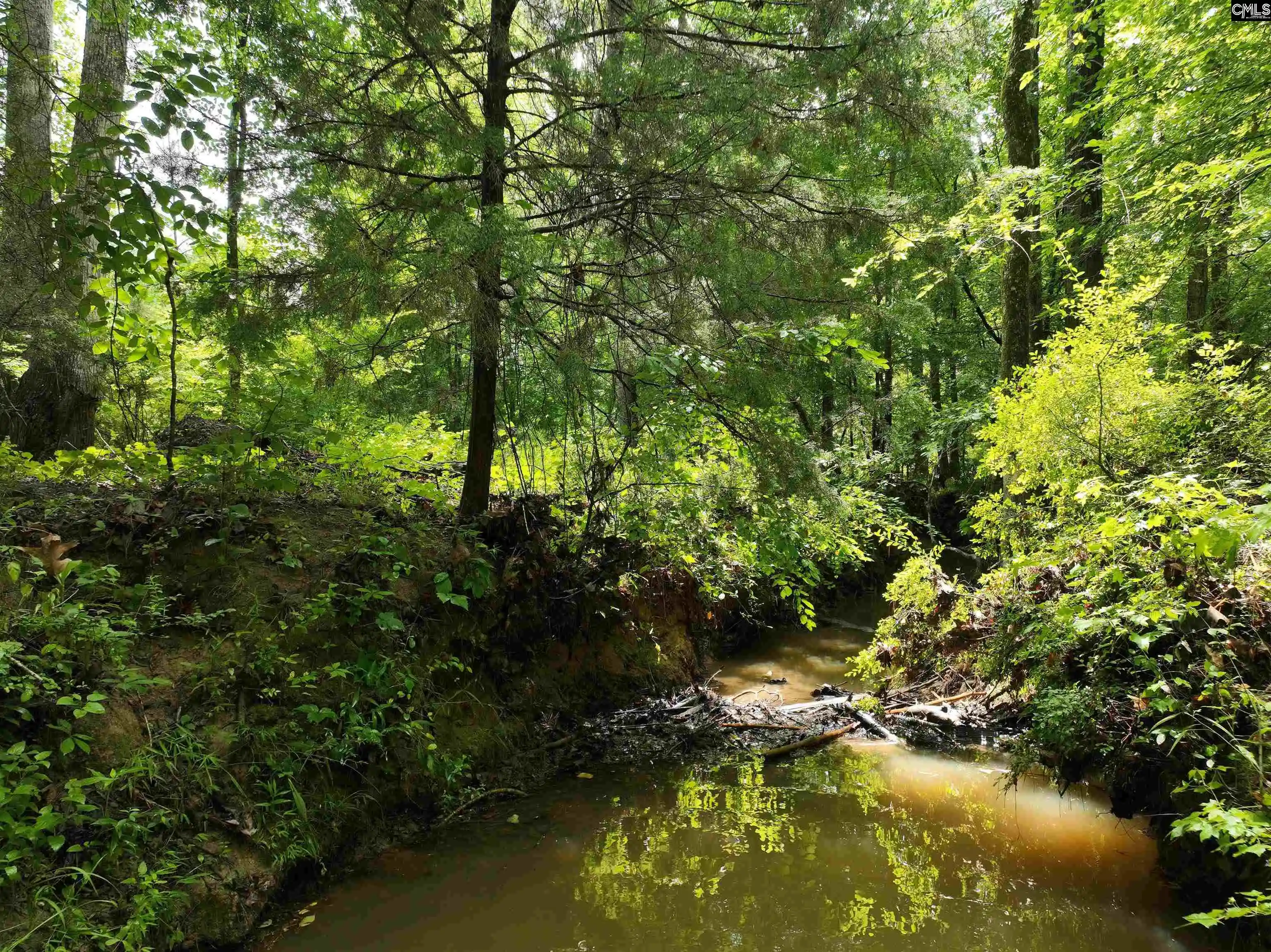 Photo 24 of Land for sale at 0 Rocky Branch, Chapin, SC 29036 | MLS# 637116 | Listing updated on 2026-09-04