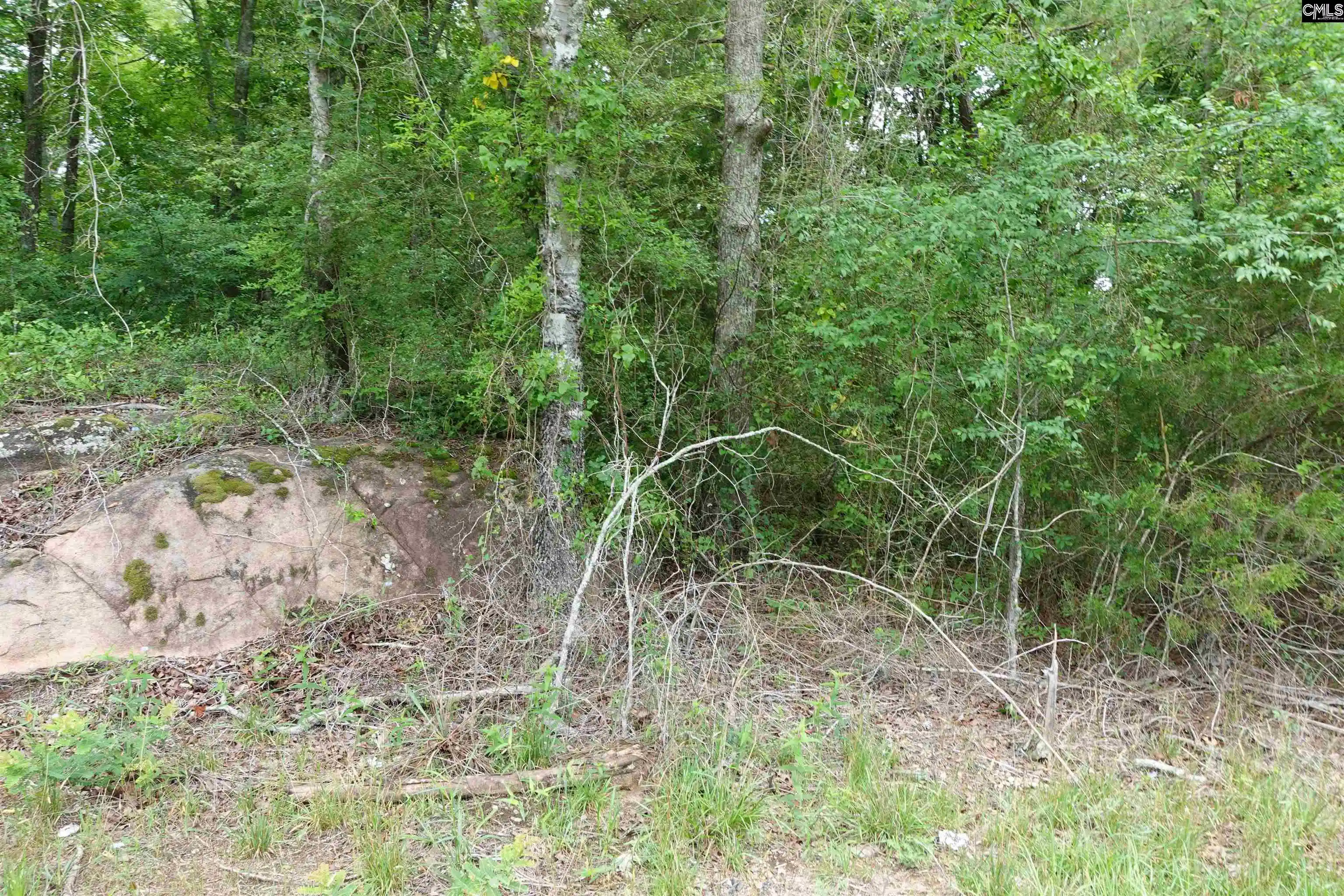Photo 4 of Land for sale at 0 Hwy 378, Mc Cormick, SC 29835 | MLS# 637127 | Listing updated on 2026-06-24