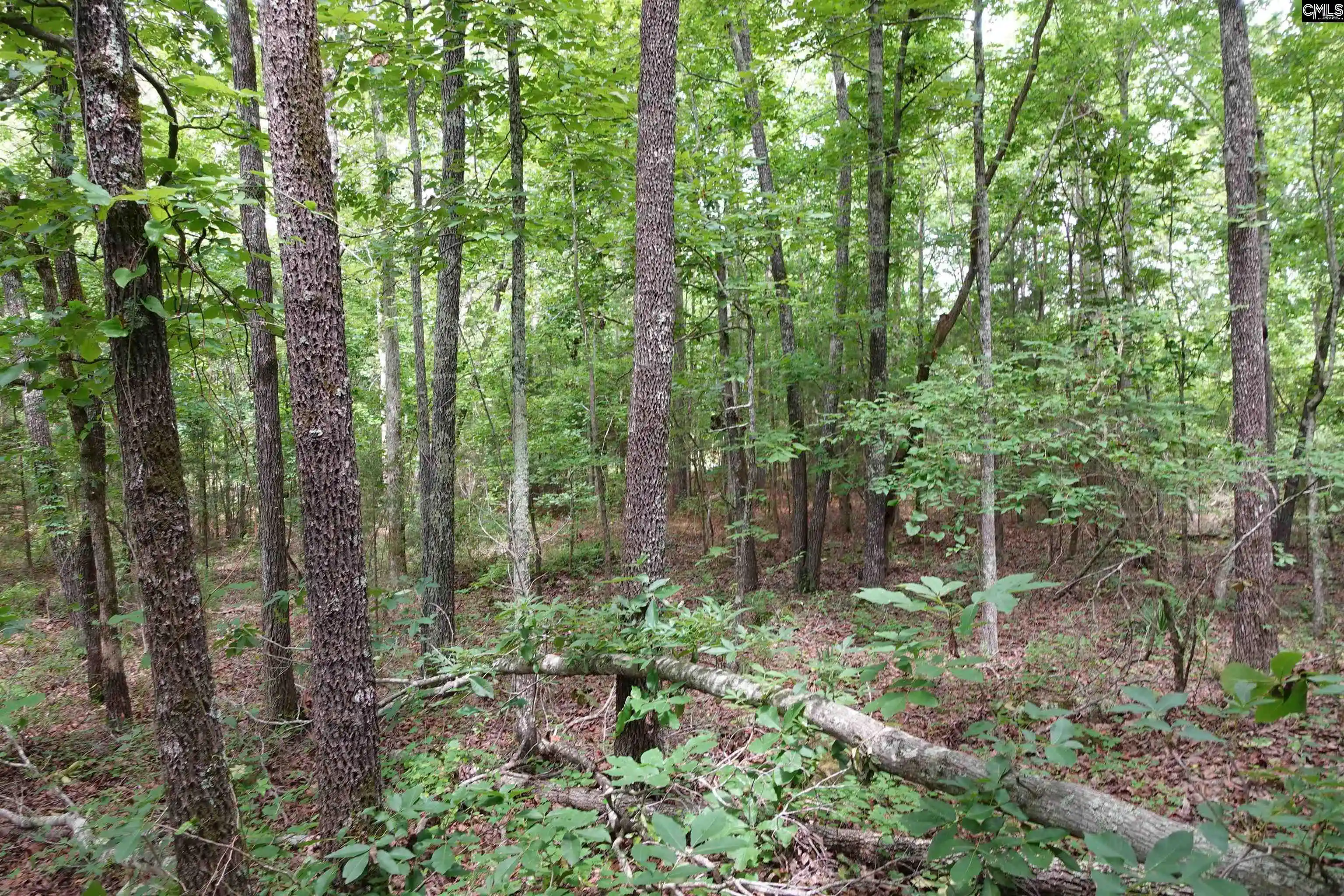 Photo 9 of Land for sale at 0 Hwy 378, Mc Cormick, SC 29835 | MLS# 637127 | Listing updated on 2026-06-24