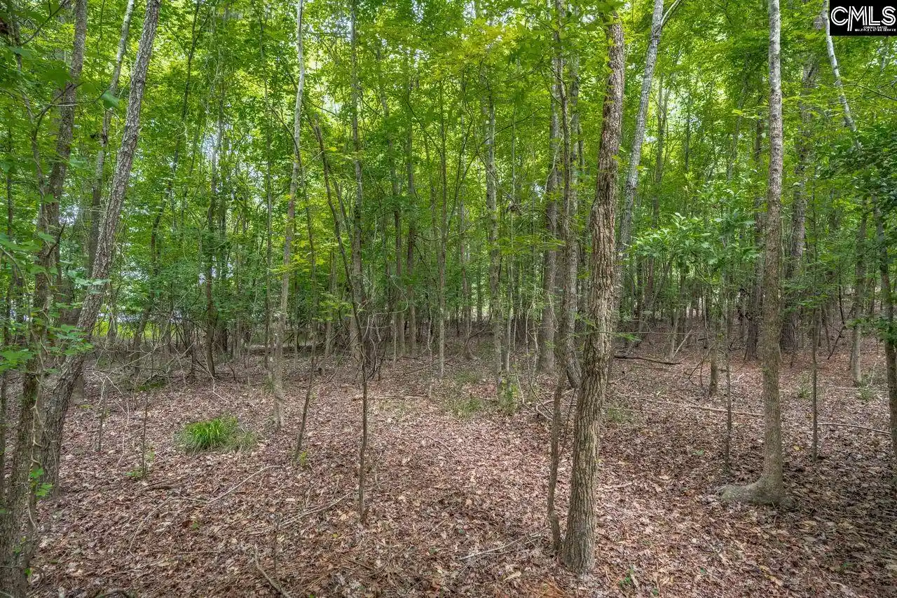 Photo 4 of Land for sale at 1600 Wildwood Cove, Leesville, SC 29070 | MLS# 637141 | Listing updated on 2026-06-24