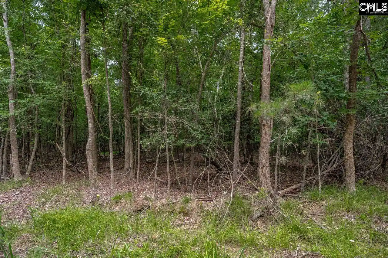 Photo 5 of Land for sale at 1600 Wildwood Cove, Leesville, SC 29070 | MLS# 637141 | Listing updated on 2026-06-24
