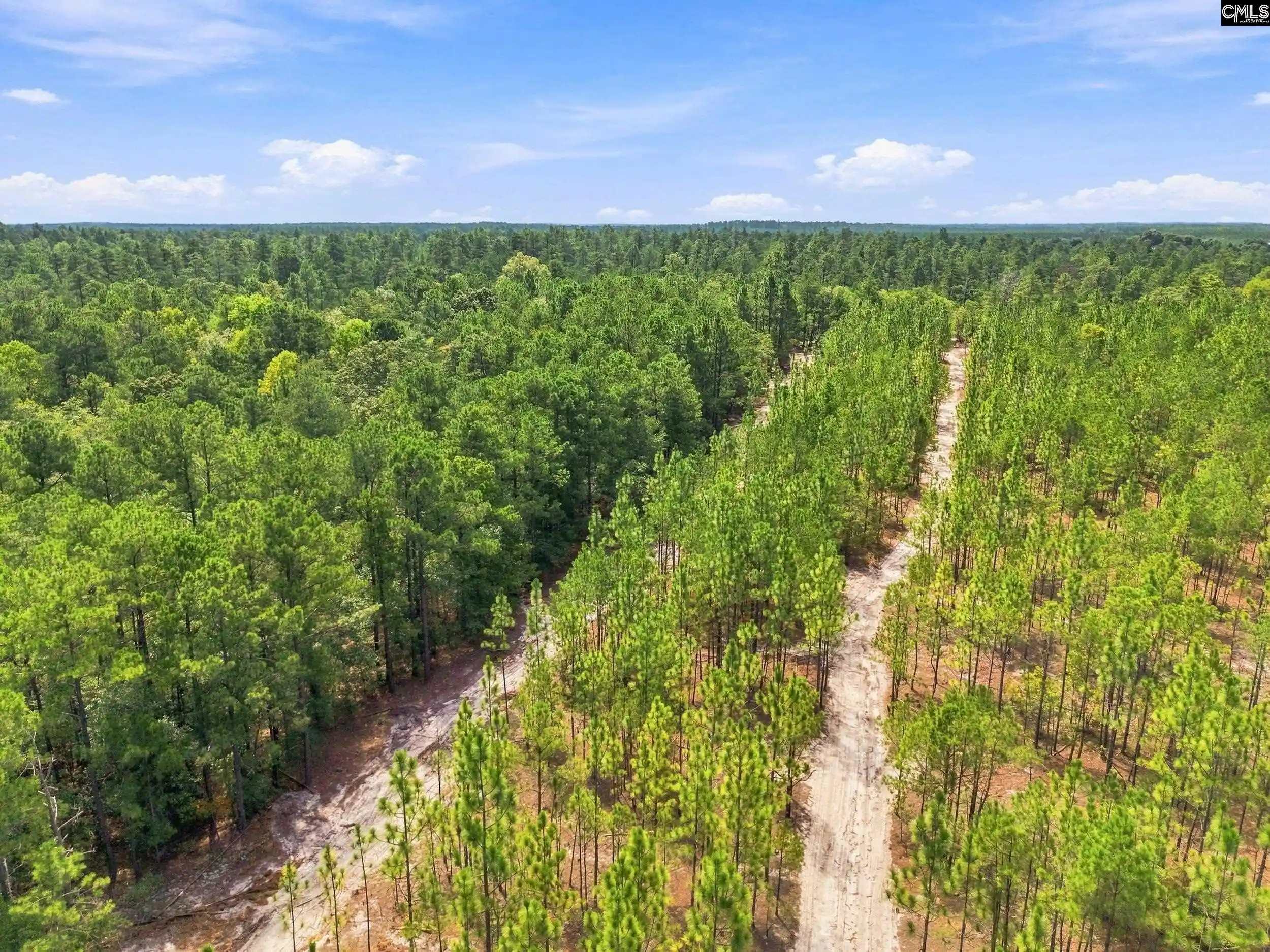 Photo 4 of Land for sale at 3390 Hunter #LOT 1, Kershaw, SC 29067 | MLS# 637220 | Listing updated on 2026-08-22