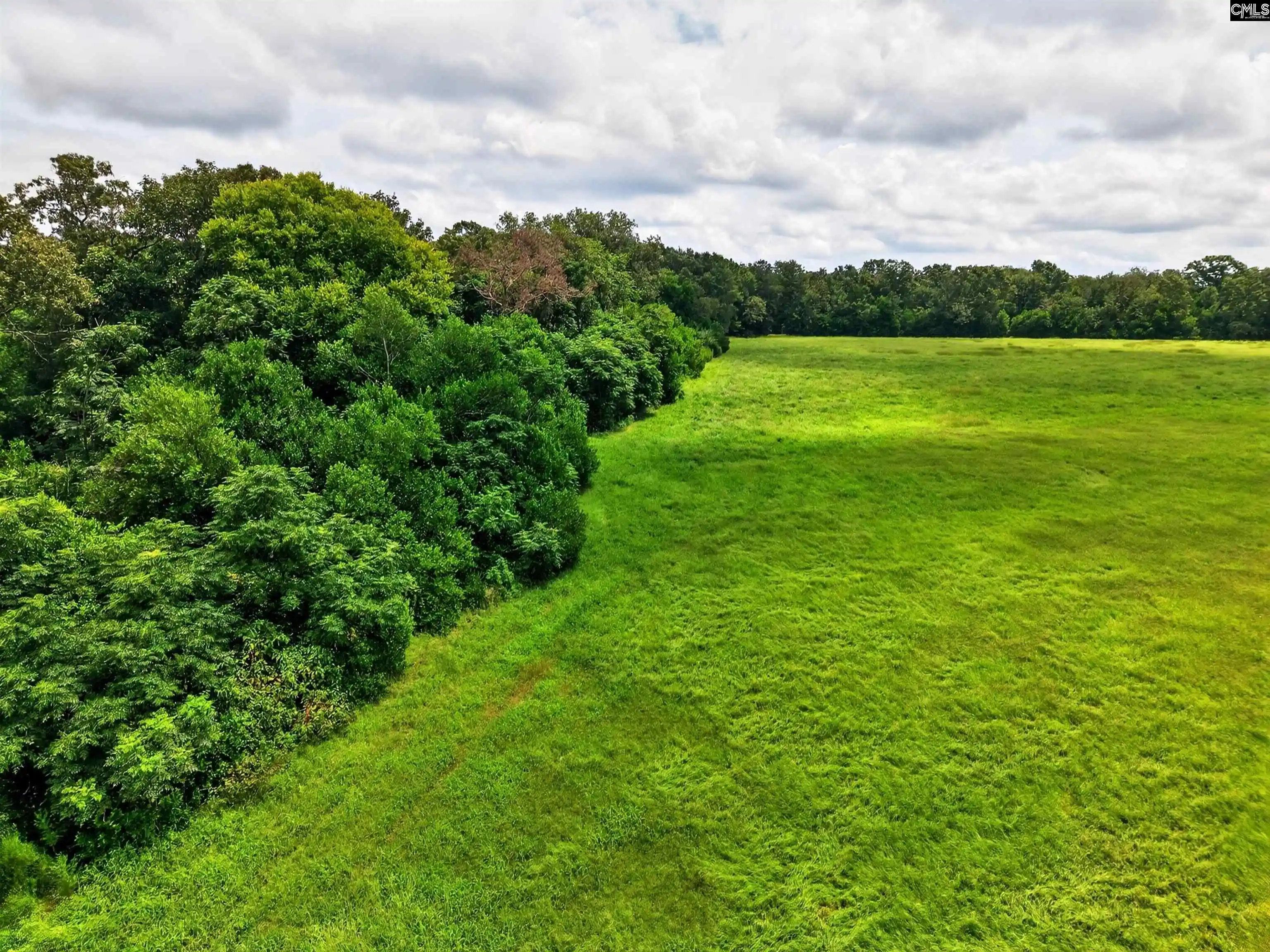 12th image of Lot 1 Finback, Wagener, SC 29164 | MLS# 637356