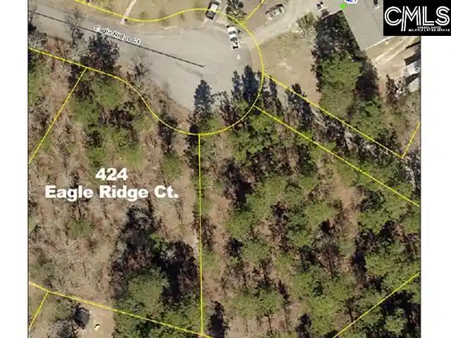 Homes for sale in Gaston, SC | 424 Eagle Ridge, Gaston, SC 29053 | MLS# 637406
