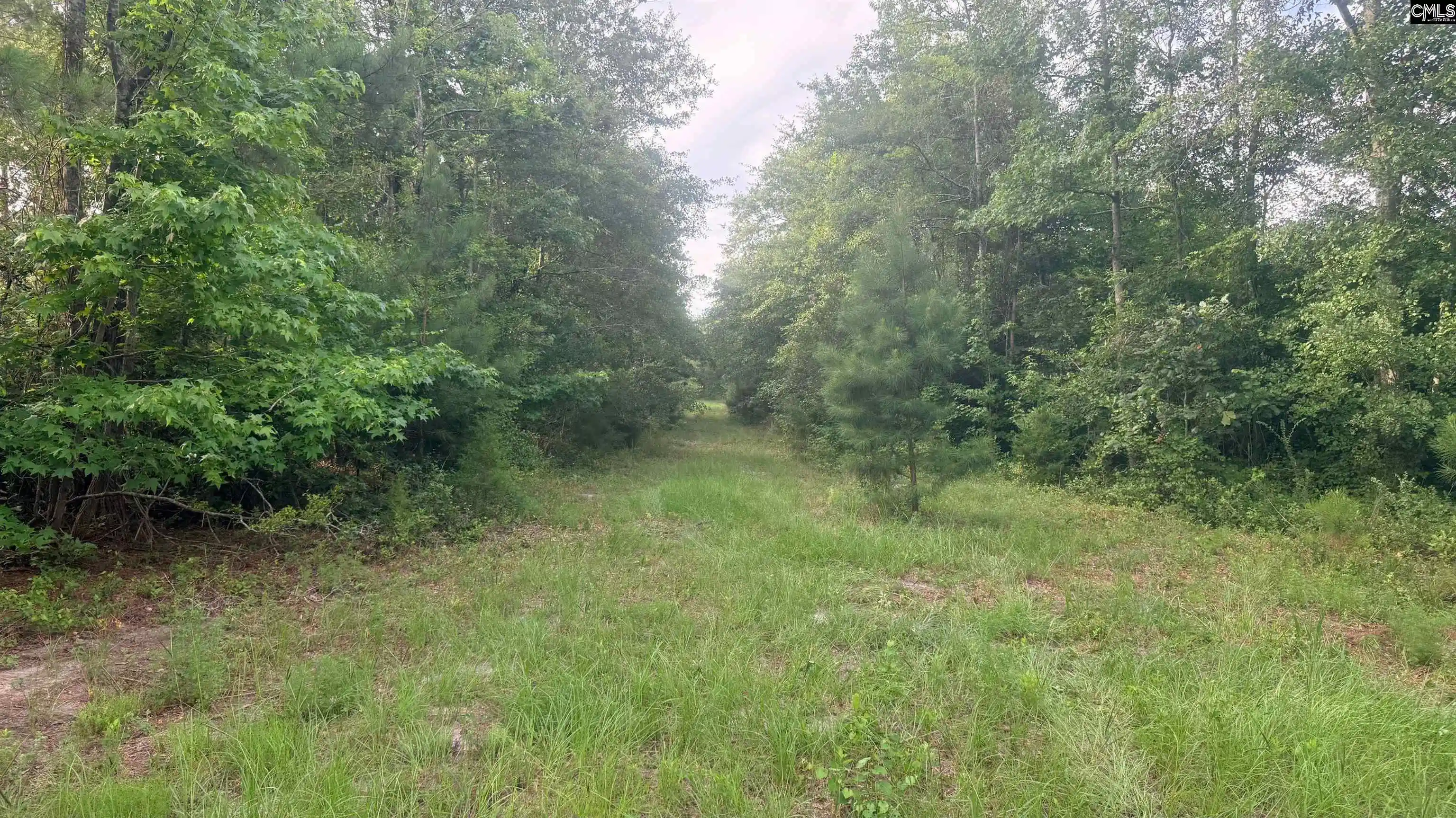 Homes for sale in Barnwell, SC | 00 Goldenrod, Barnwell, SC 29812 | MLS# 637428