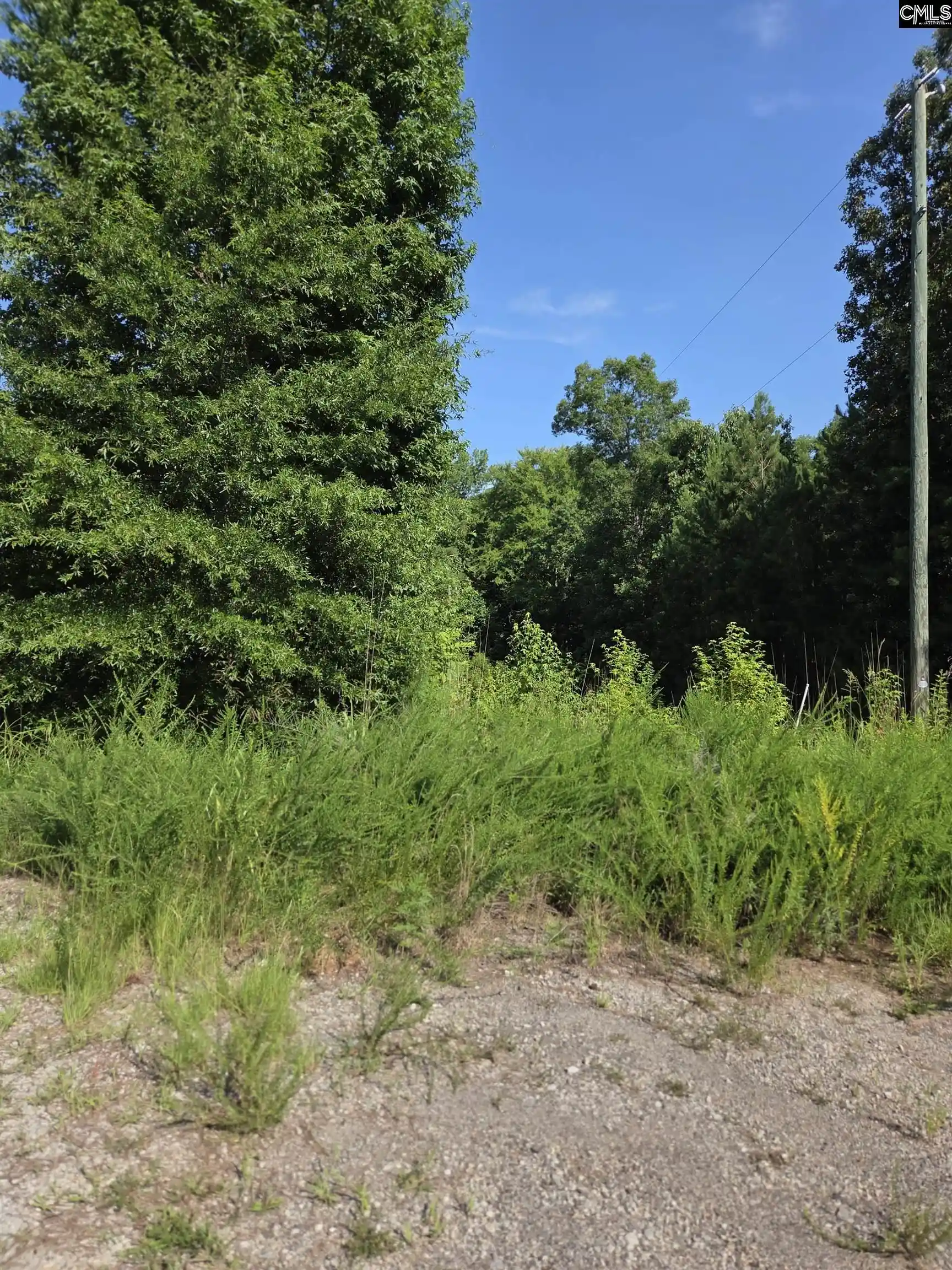 Photo 1 of Land for sale at Longleaf Court Lot 7, Ridgeway, SC 29130 | MLS# 637479 | Listing updated on 2026-09-19