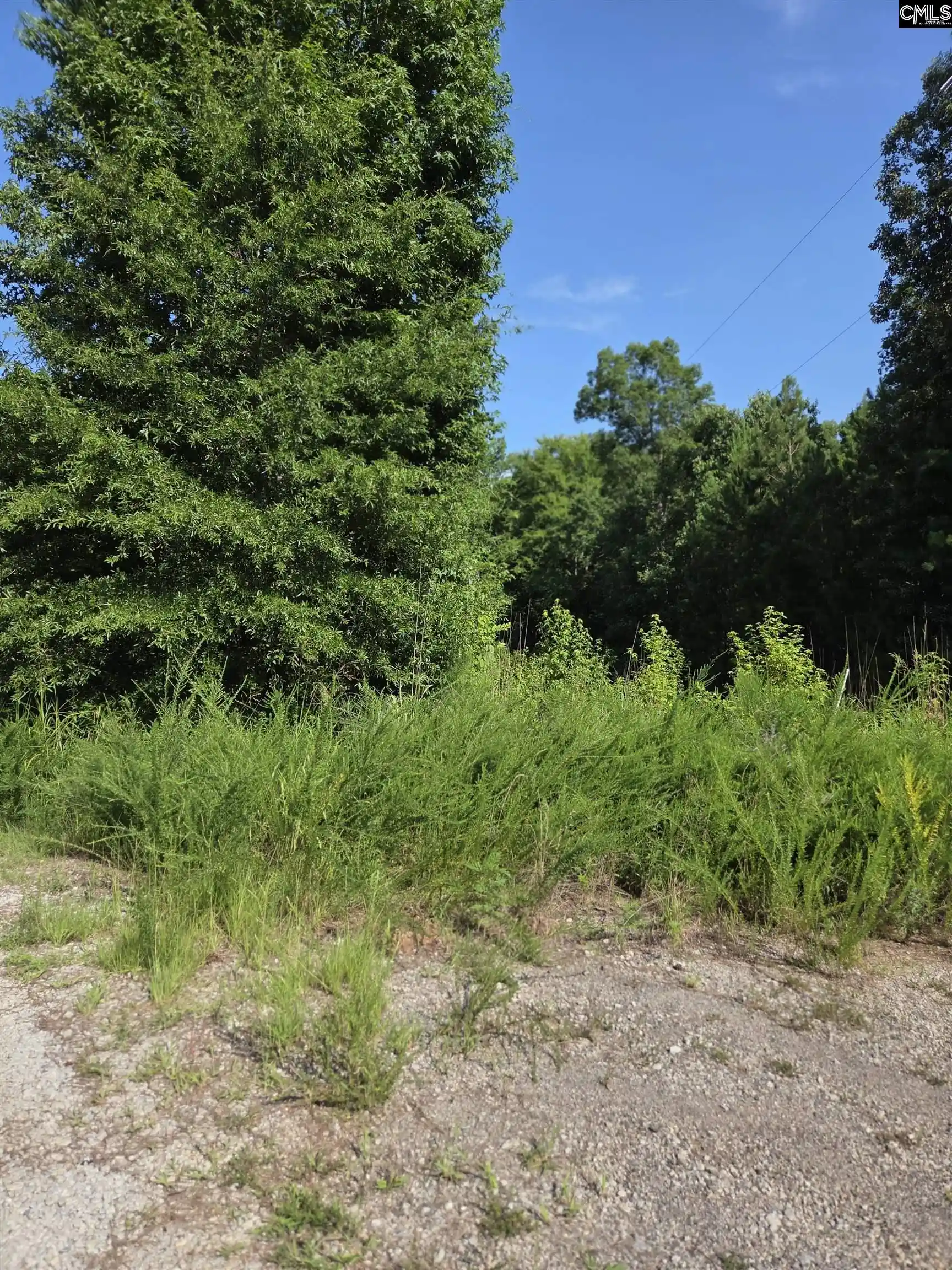 Photo 2 of Land for sale at Longleaf Court Lot 7, Ridgeway, SC 29130 | MLS# 637479 | Listing updated on 2026-09-19