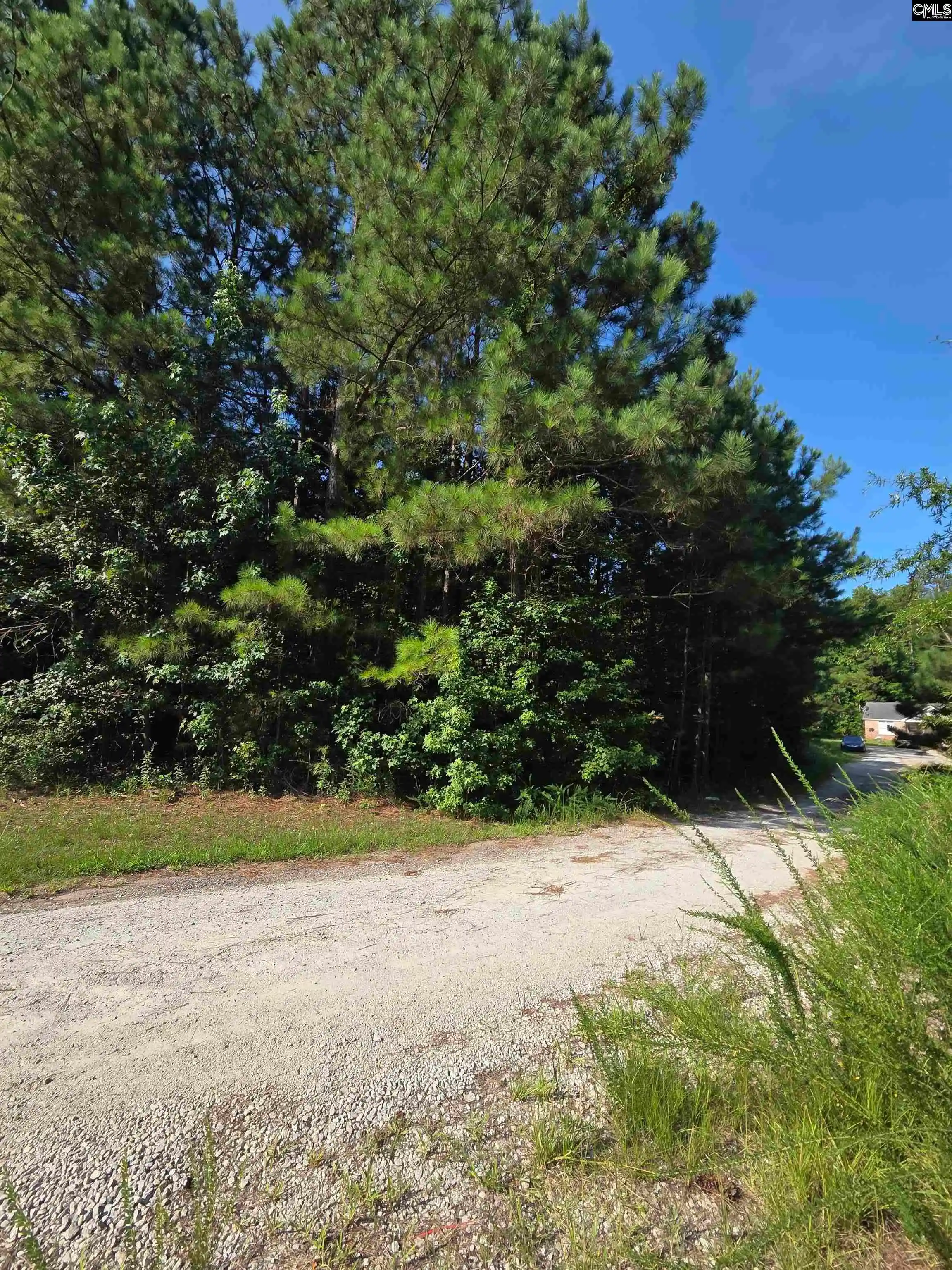 Photo 1 of Land for sale at 135 Longleaf Court Lot 4, Ridgeway, SC 29130 | MLS# 637482 | Listing updated on 2026-09-19