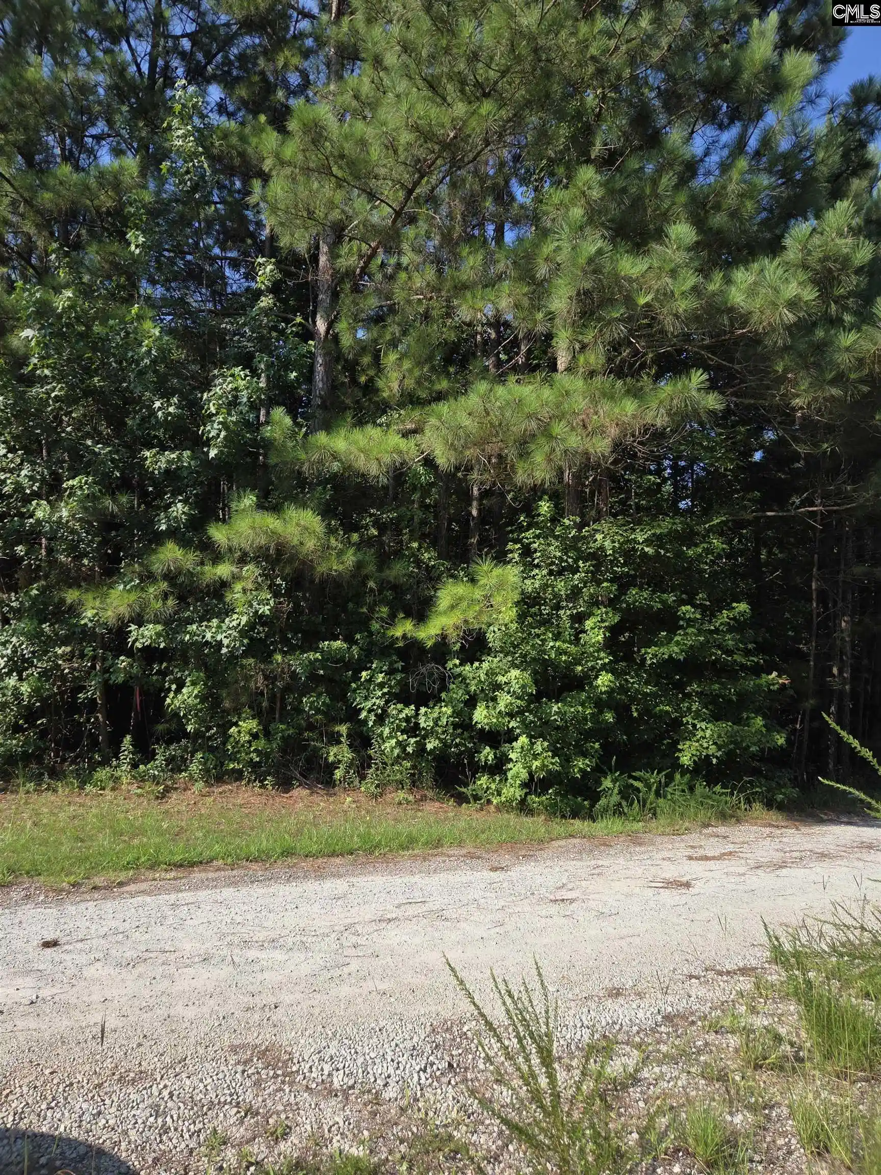 Photo 2 of Land for sale at 135 Longleaf Court Lot 4, Ridgeway, SC 29130 | MLS# 637482 | Listing updated on 2026-09-19