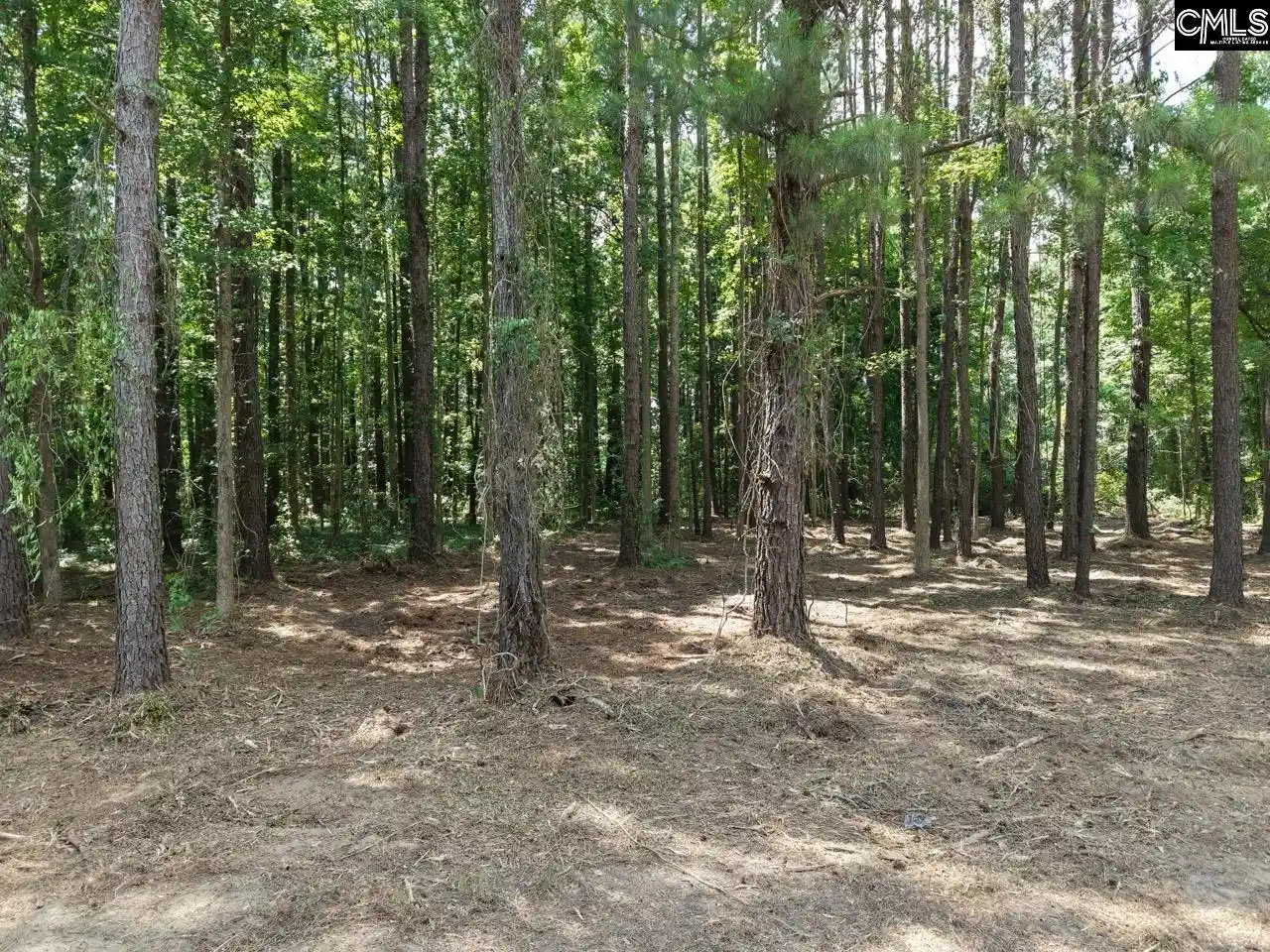 Photo 2 of Land for sale at 0 Peace, Bowman, SC 29018 | MLS# 637498 | Listing updated on 2026-09-25