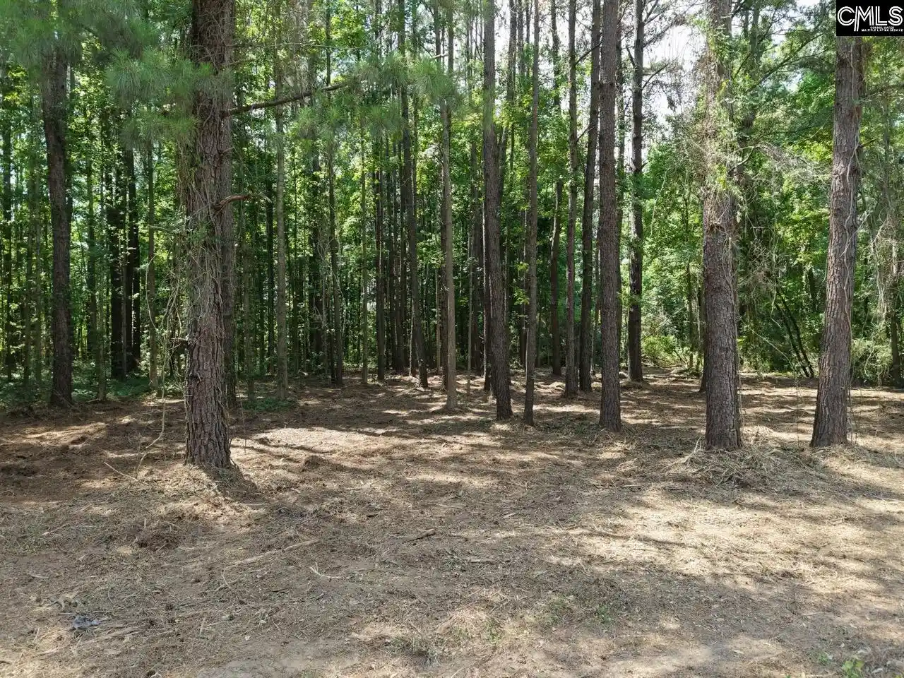 Photo 3 of Land for sale at 0 Peace, Bowman, SC 29018 | MLS# 637498 | Listing updated on 2026-09-25