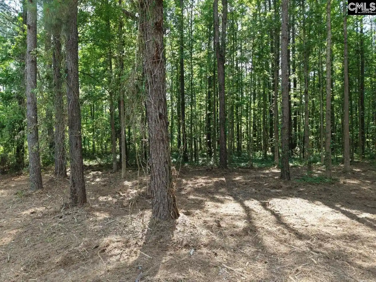 Photo 4 of Land for sale at 0 Peace, Bowman, SC 29018 | MLS# 637498 | Listing updated on 2026-09-25