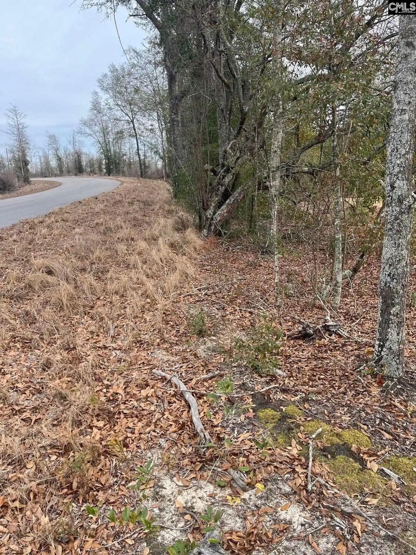 1st image of Whl 7 Rainbow #WHL 7, Salley, SC 29137 | MLS# 637571