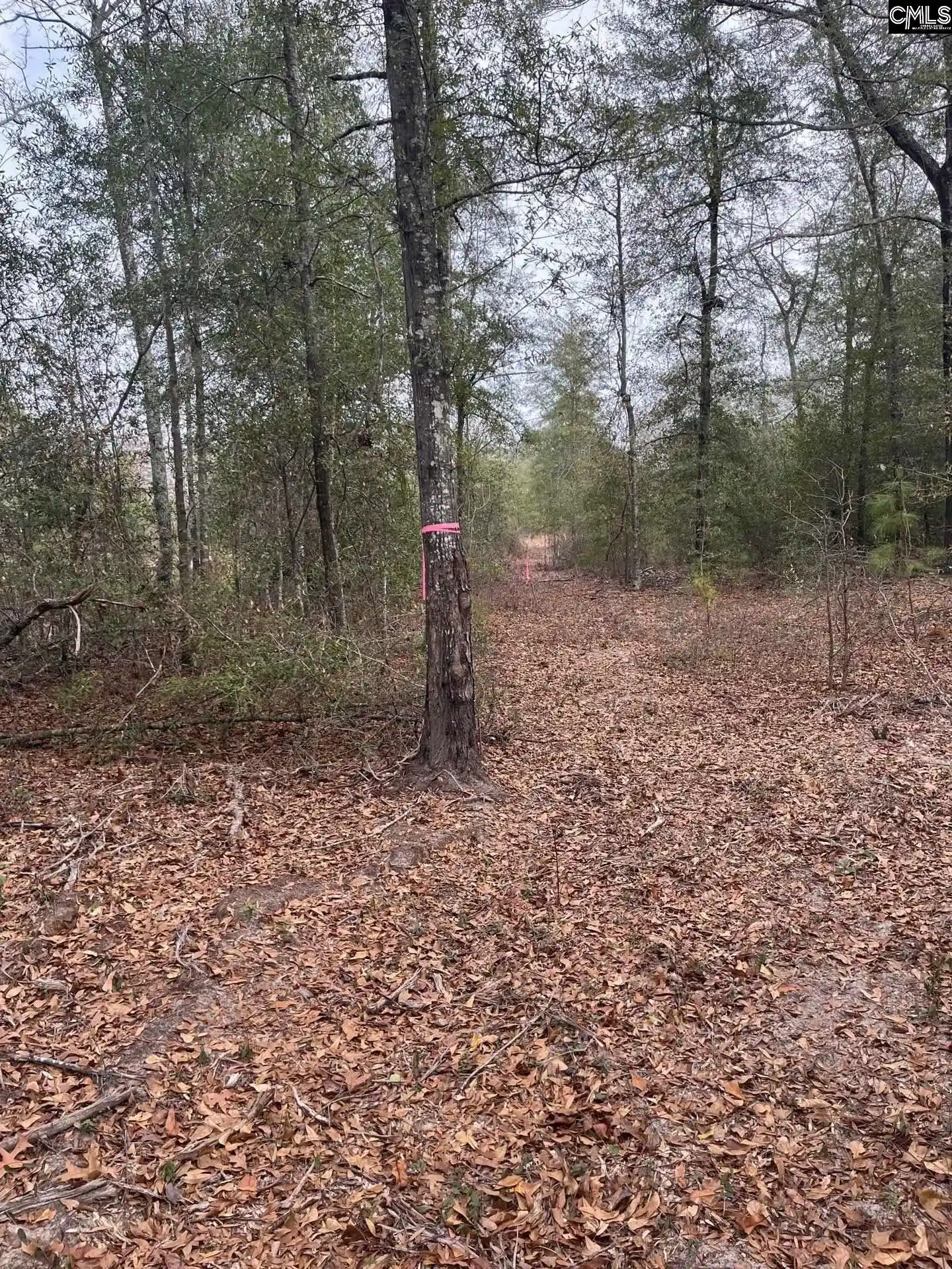2nd image of Whl 7 Rainbow #WHL 7, Salley, SC 29137 | MLS# 637571