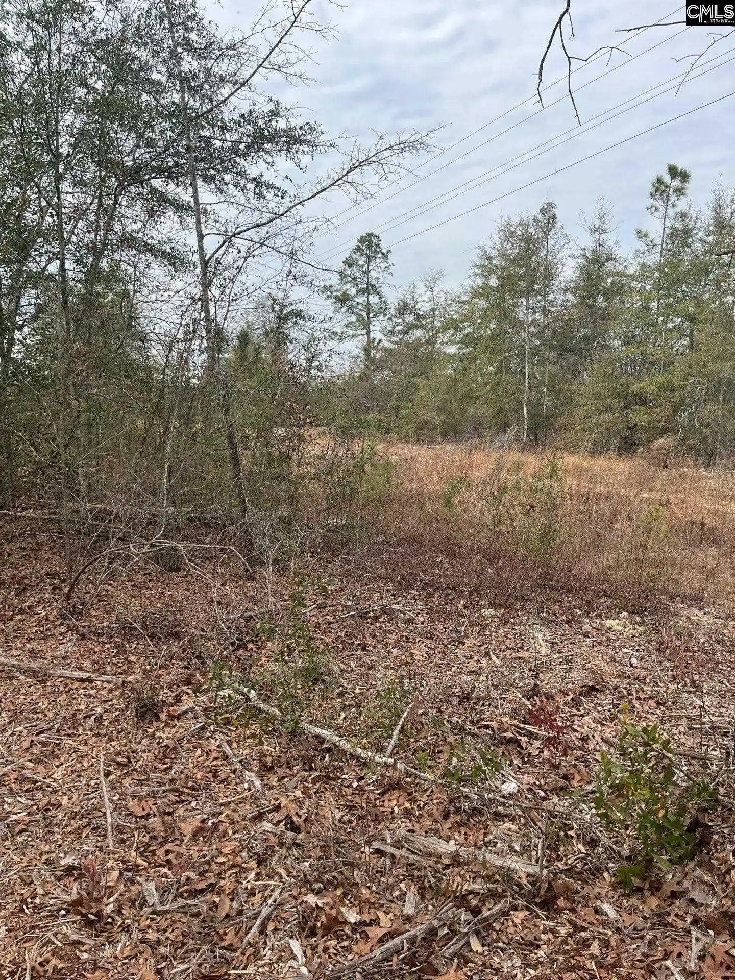 3rd image of Whl 7 Rainbow #WHL 7, Salley, SC 29137 | MLS# 637571