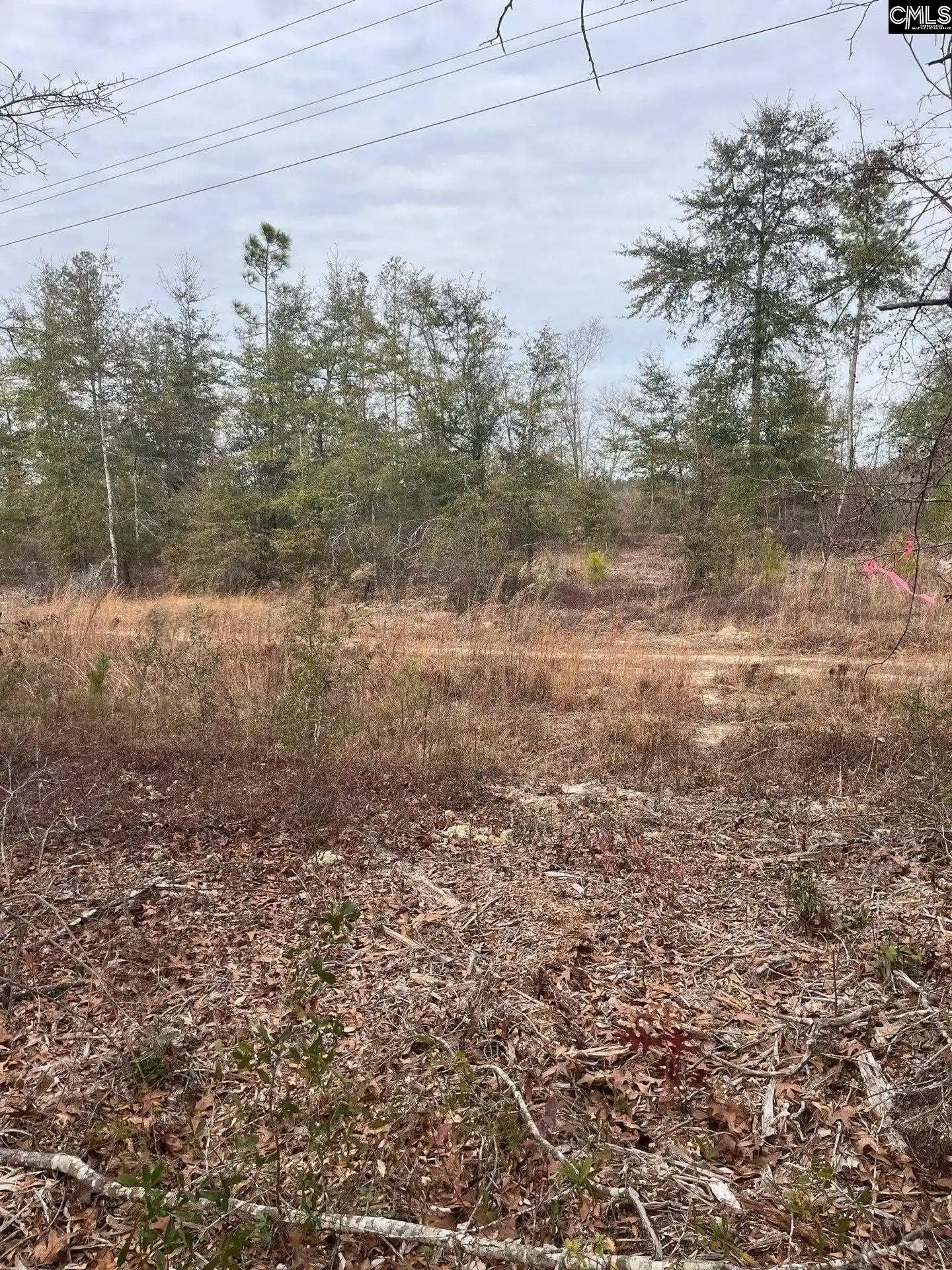 4th image of Whl 7 Rainbow #WHL 7, Salley, SC 29137 | MLS# 637571