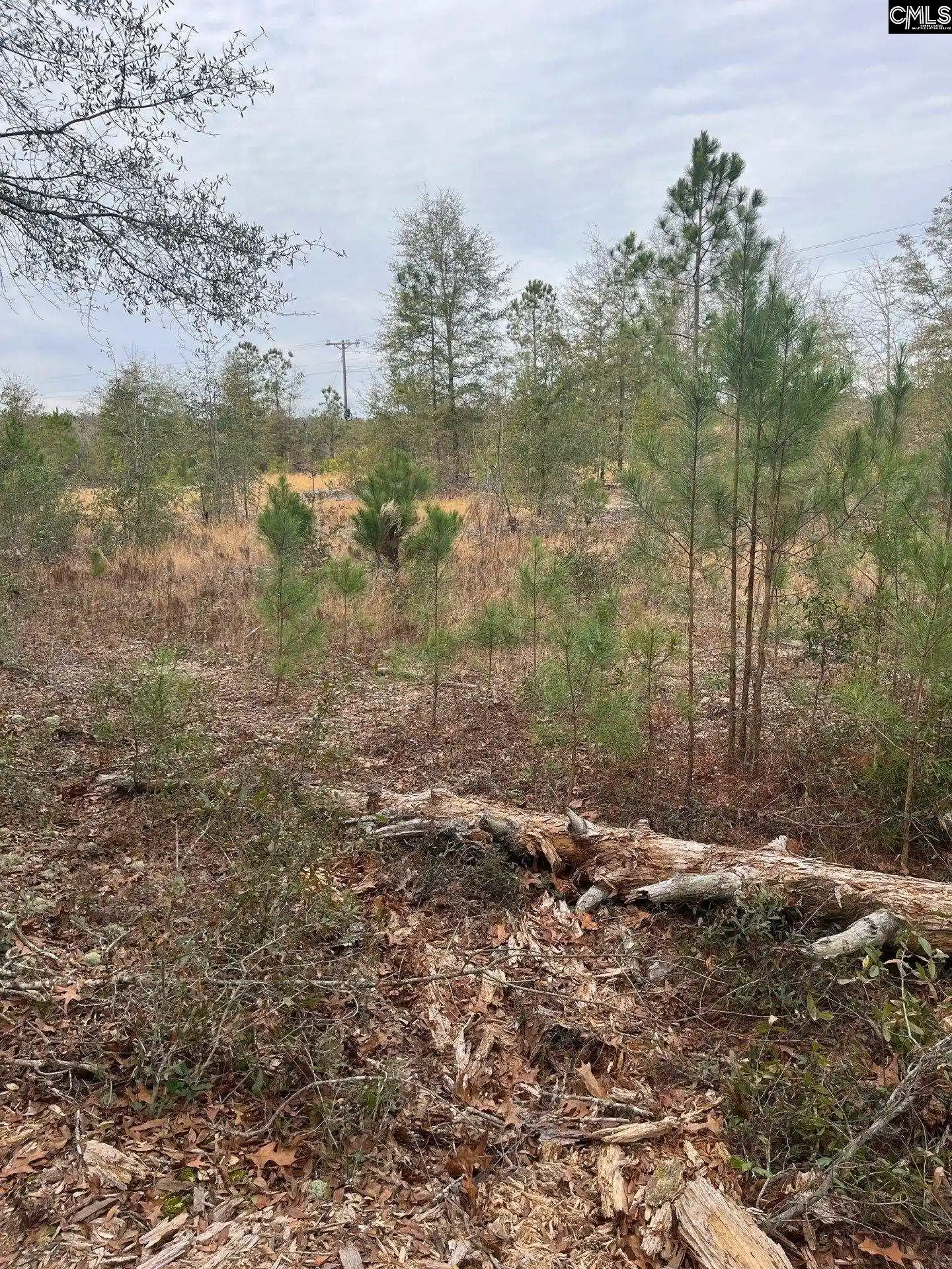 13th image of Whl 7 Rainbow #WHL 7, Salley, SC 29137 | MLS# 637571