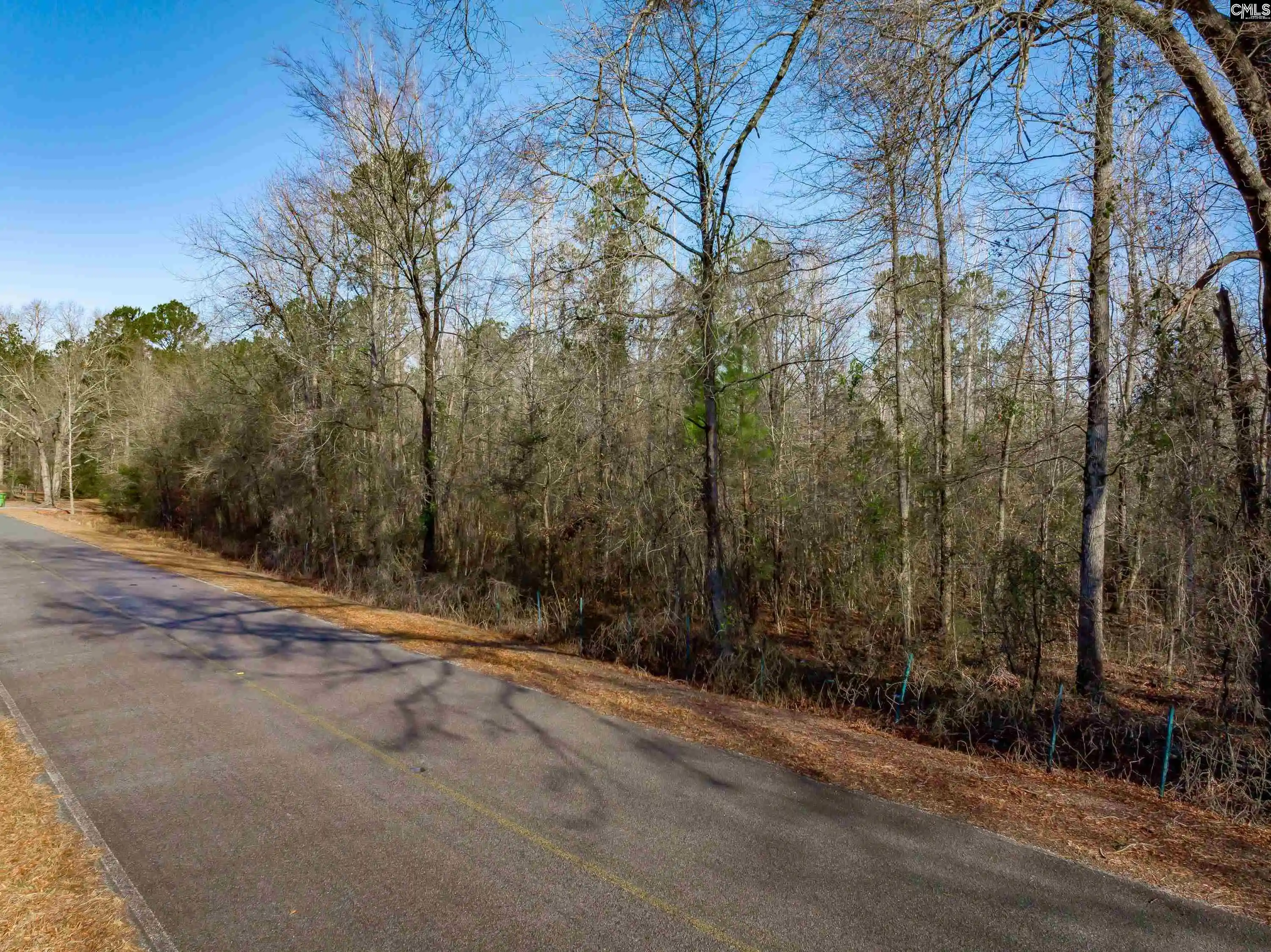 Homes for sale in Eastover, SC | 1641 Joe Collins Rd, Eastover, SC 29044 | MLS# 637890