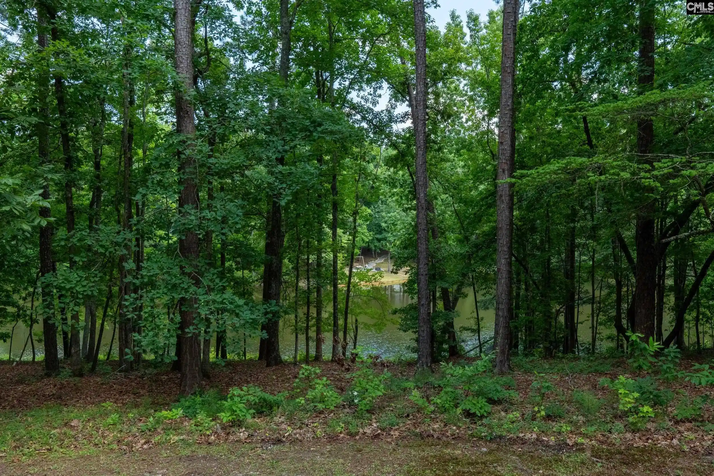 Photo 3 of Single family home for sale at 204 Ashley Oaks, Blythewood, SC 29016 | MLS# 637899 | Listing updated on 2026-10-01