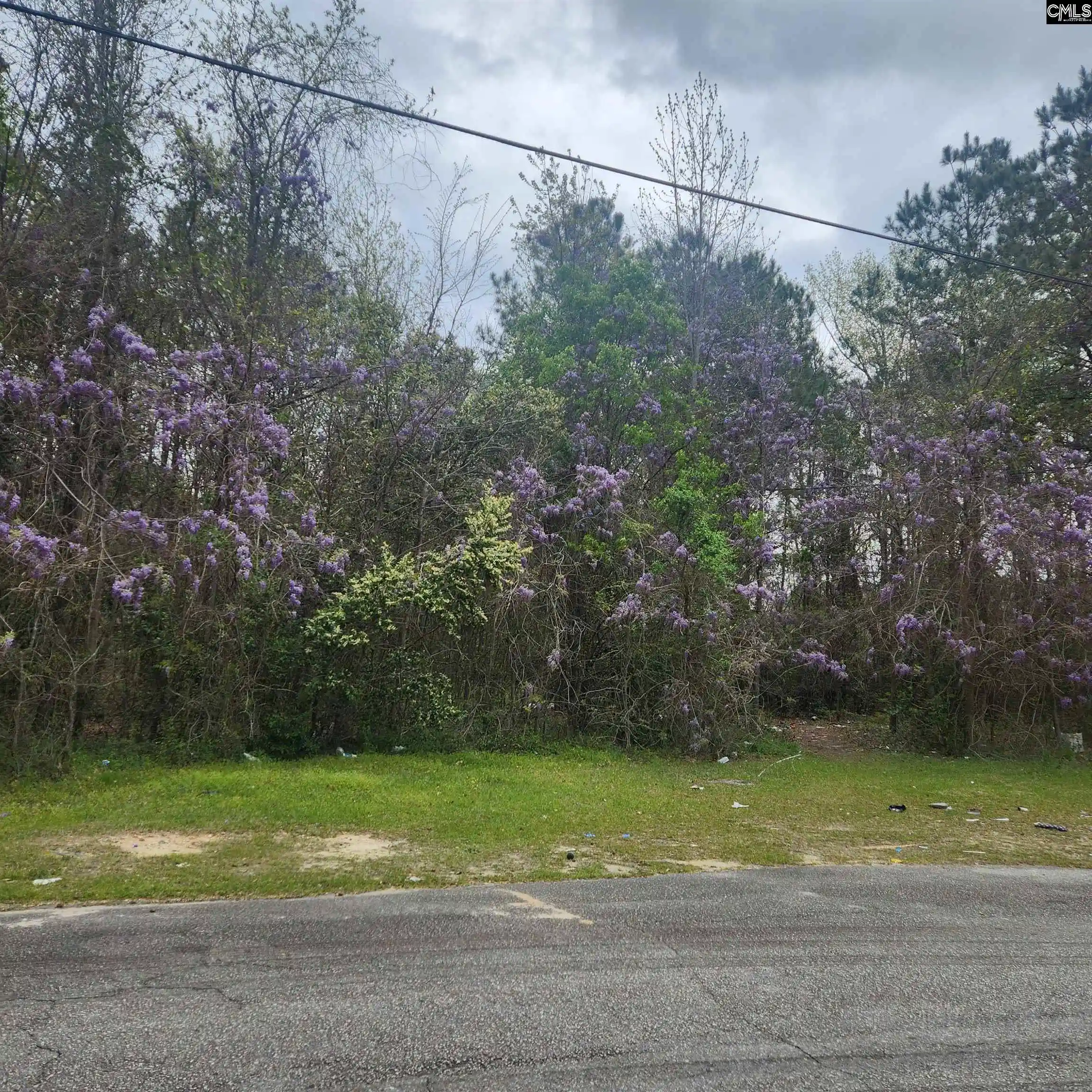 Photo 2 of Land for sale at 6430 Norris, Columbia, SC 29209 | MLS# 638268 | Listing updated on 2026-07-09
